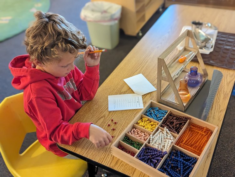 Montessori Foundation