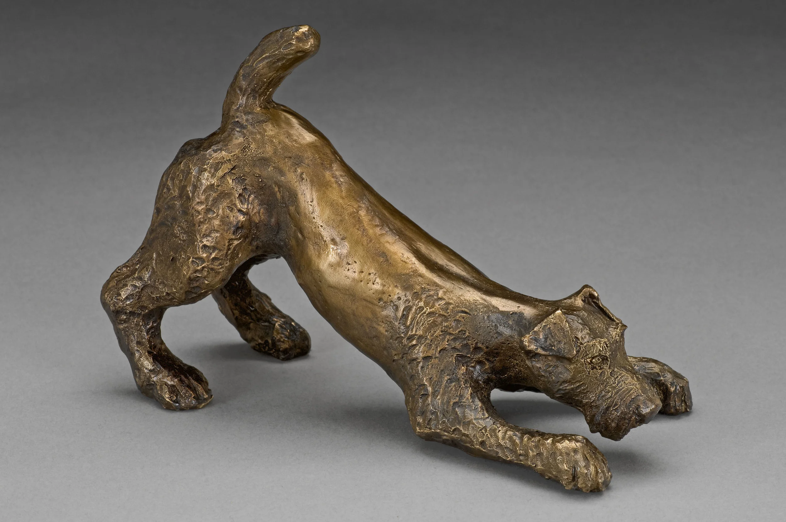 Playful Terrier bronze