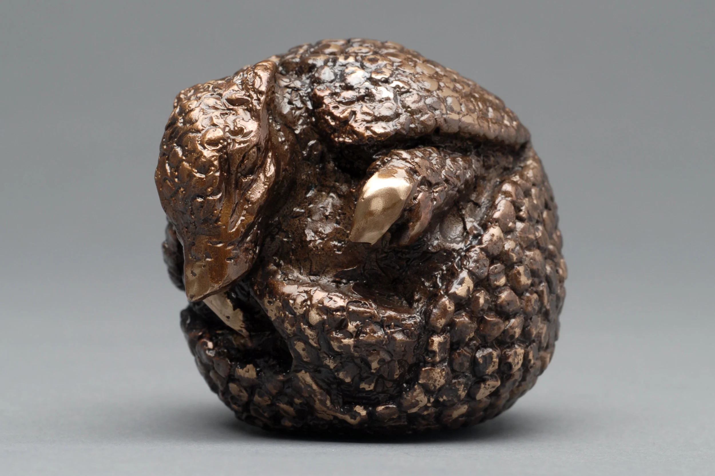 Curled Armadillo bronze