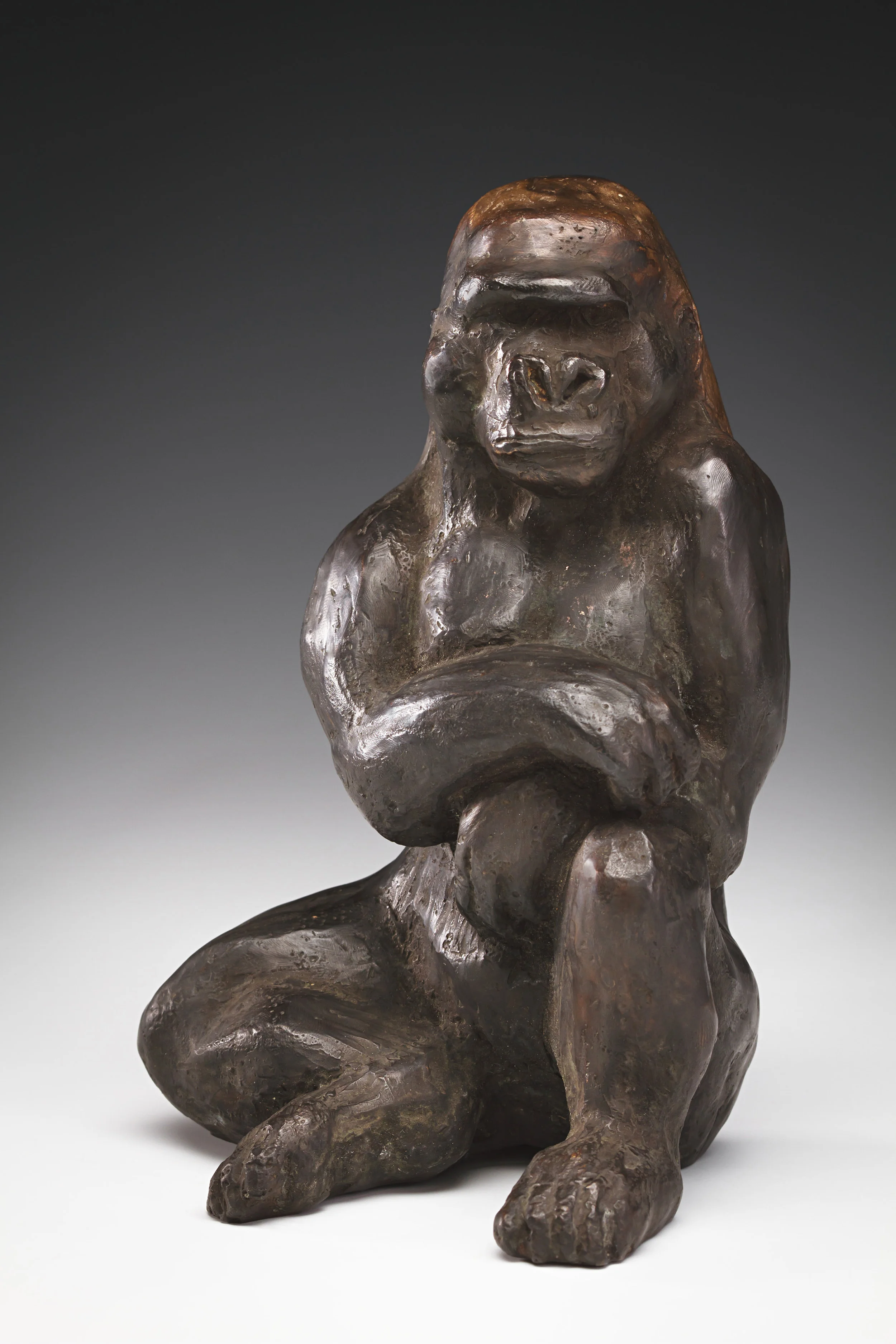 Gorilla bronze