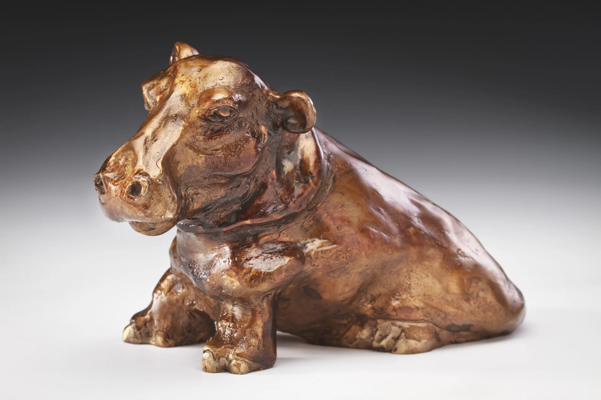 hippo1920.jpg