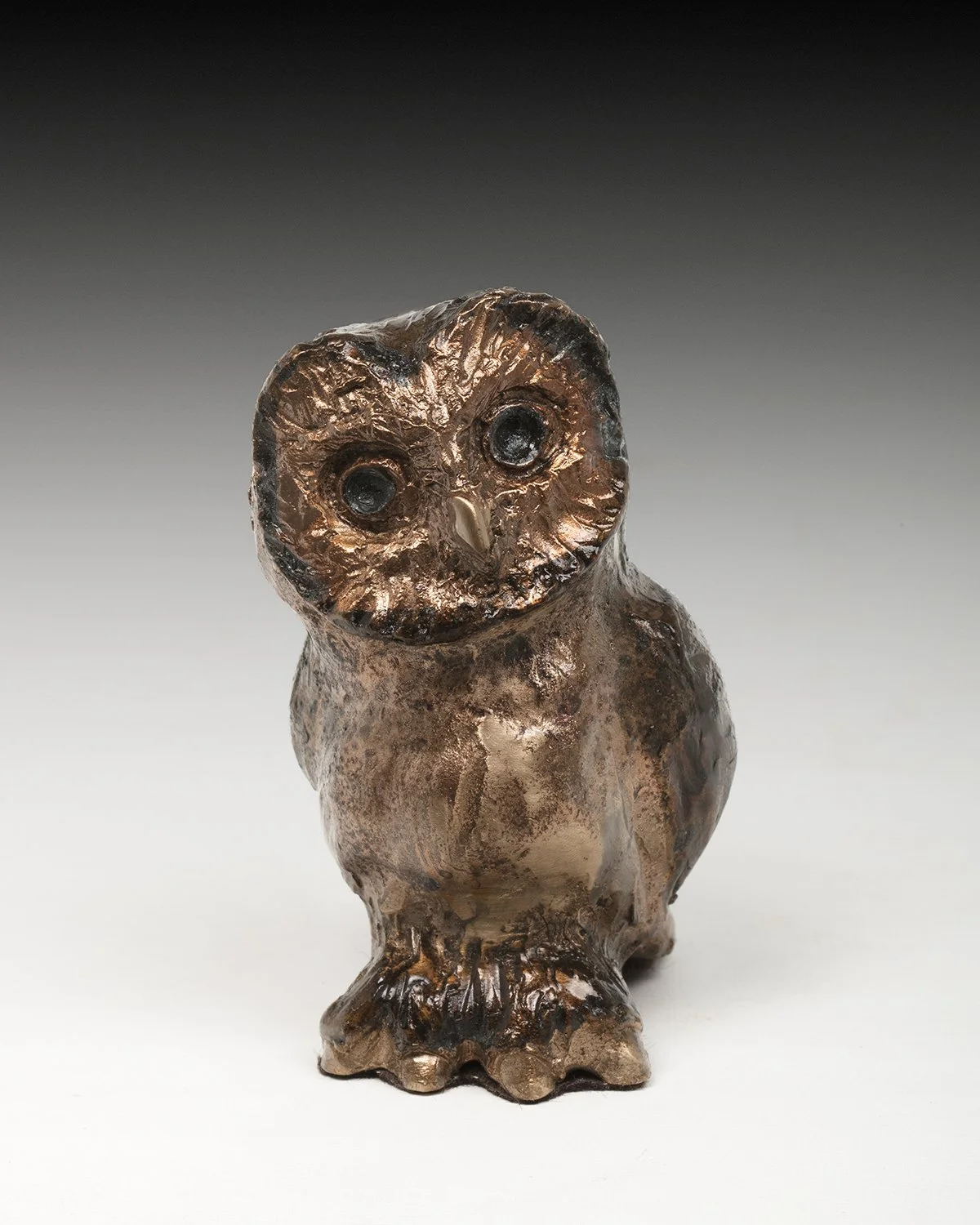 sawwhet owl.jpg