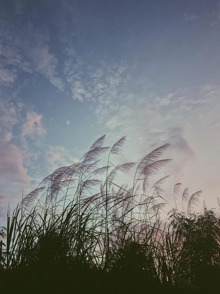 A Strange Kind of Knowing supports, "How to Sway on Crick Hill"