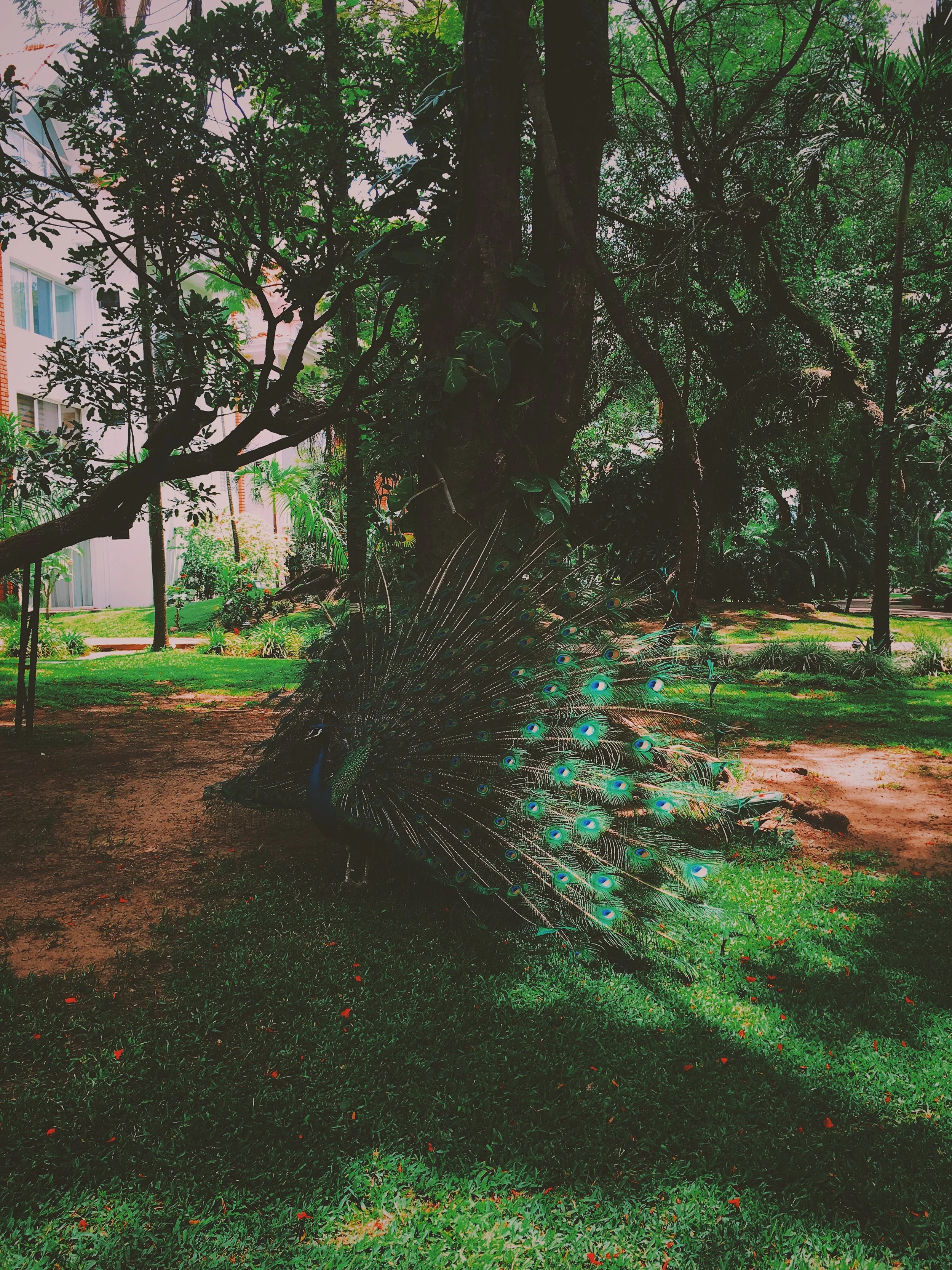 Building empathy through culture: Taking a seat at your table.