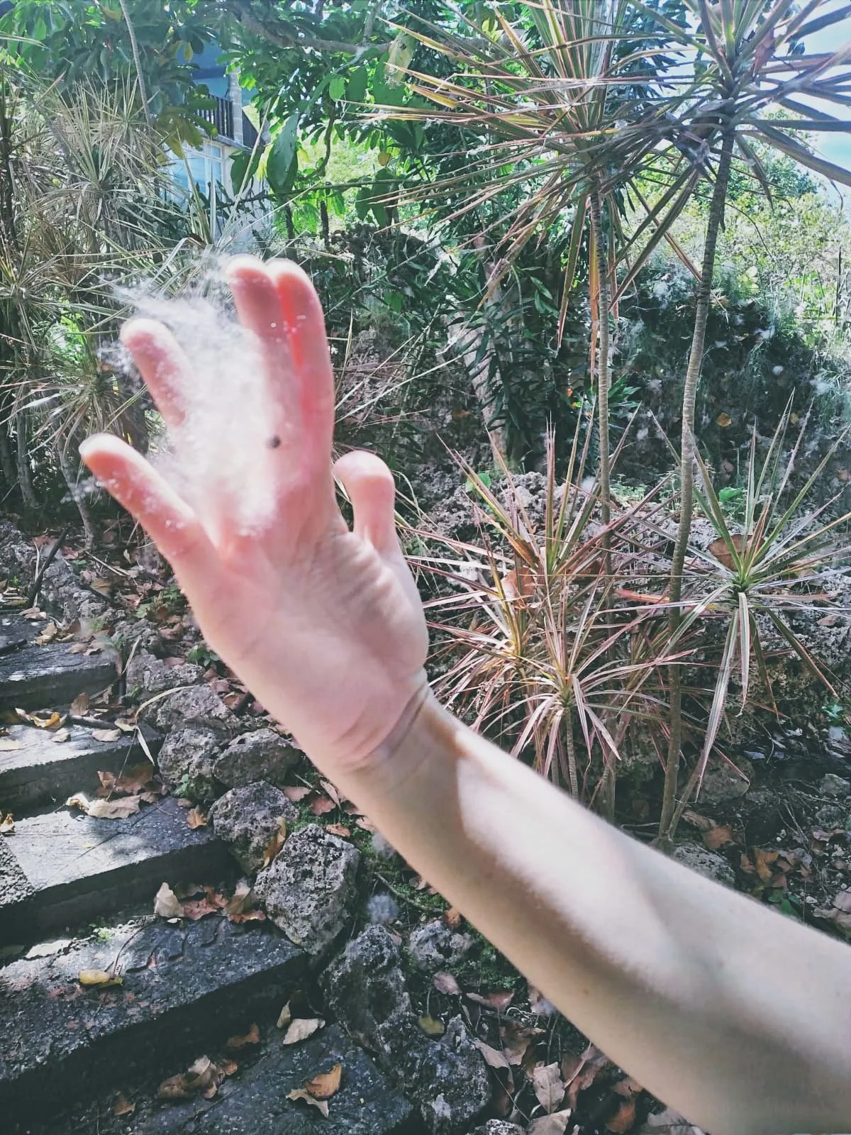 The Art World, Migration and Gender: An Interview with Women on the Move (WeMov)