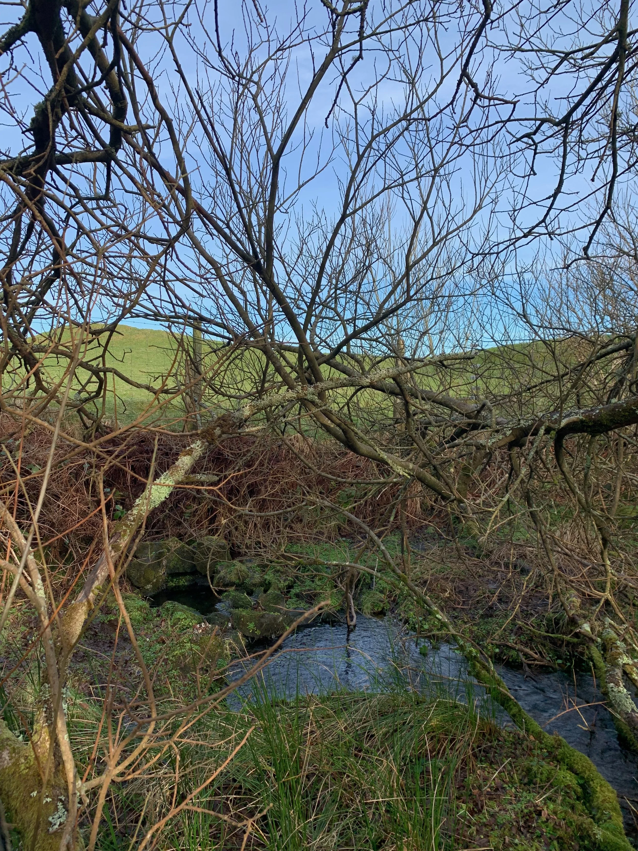 ‘Sacred Space and Social Memory’: lessons from the land in the Grenadines and the Isle of Skye