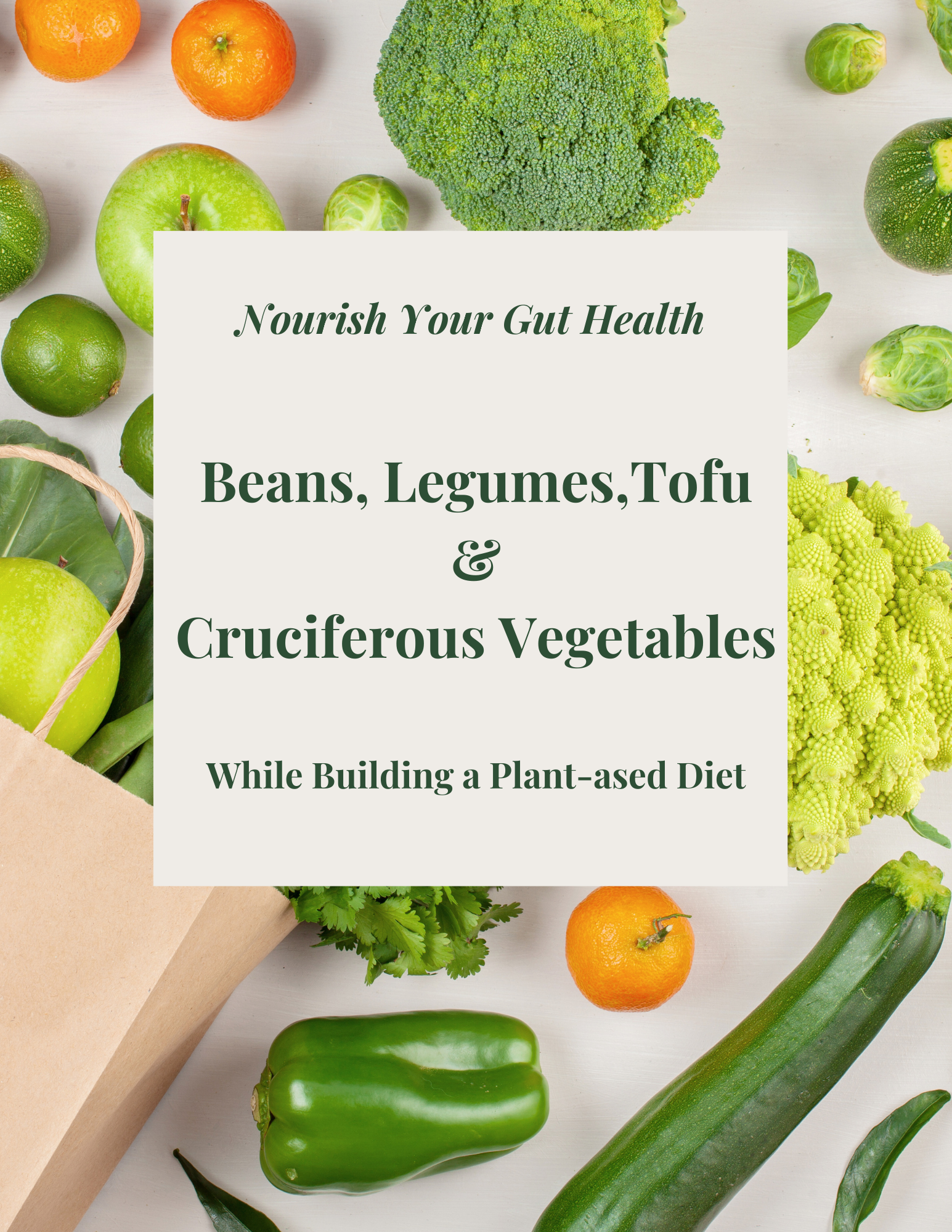 The Plant Protein Digestion Guide