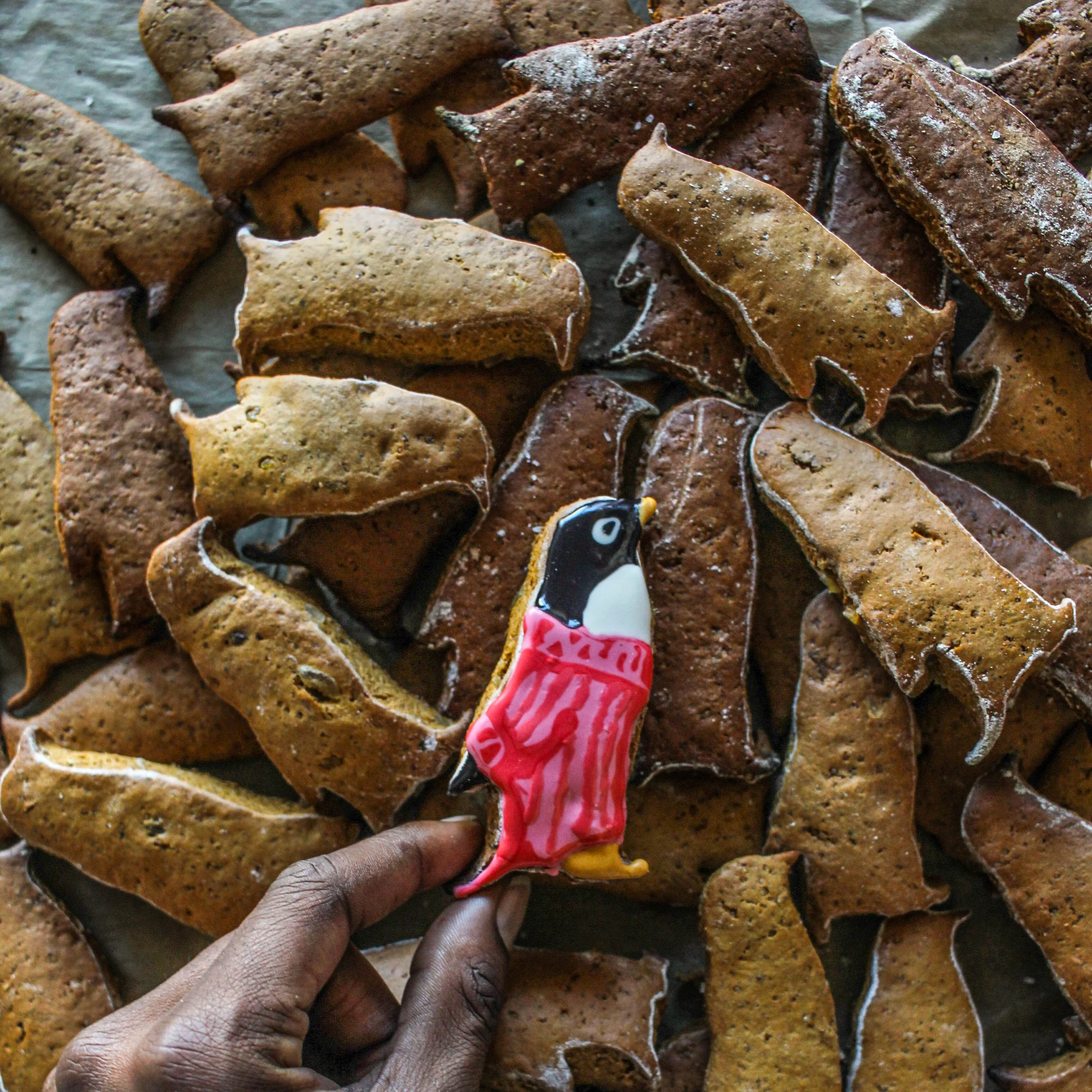 Black Pepper Gingerbread Penguins with Chunks of Candied Ginger