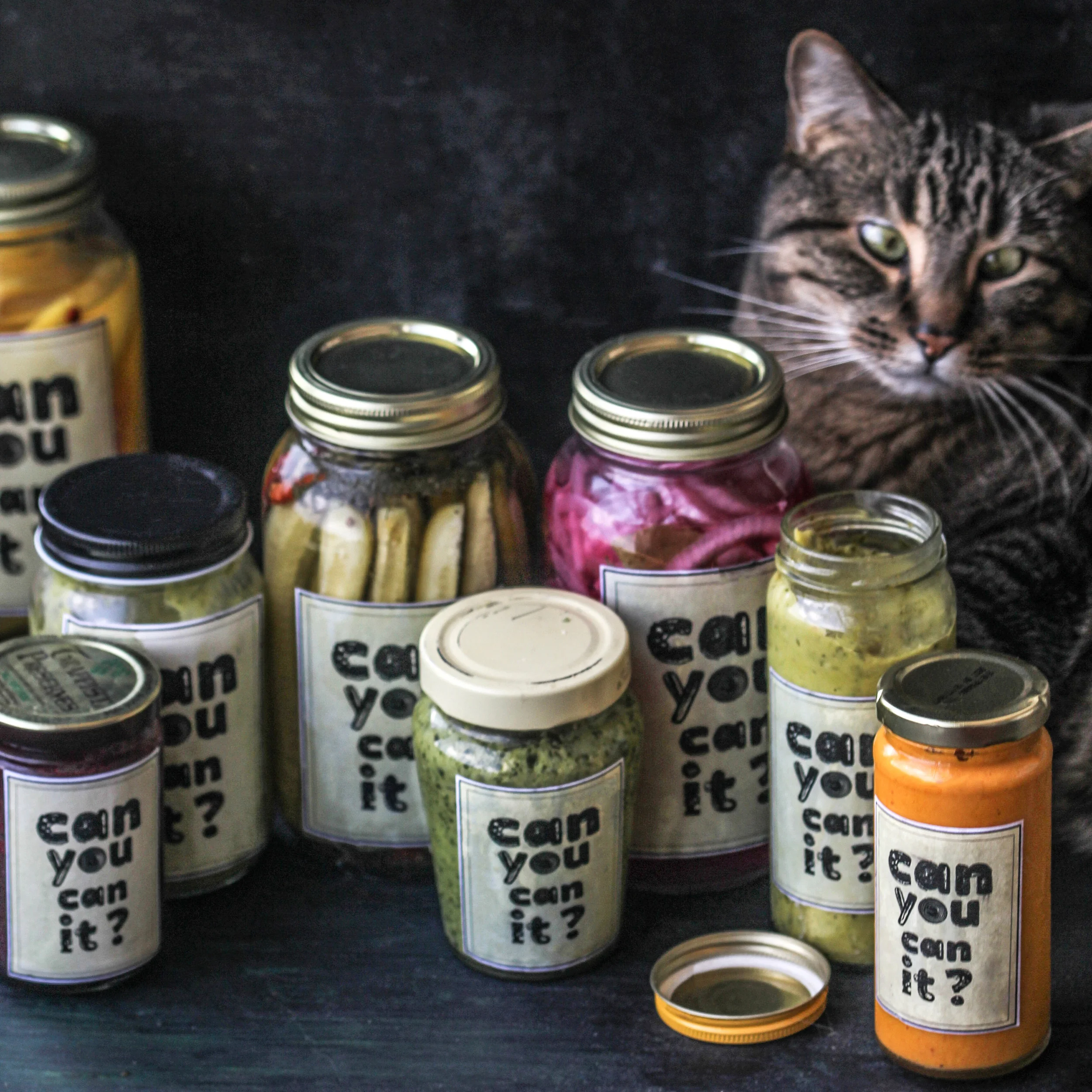 Recipe Ideas for Using Food Scraps!