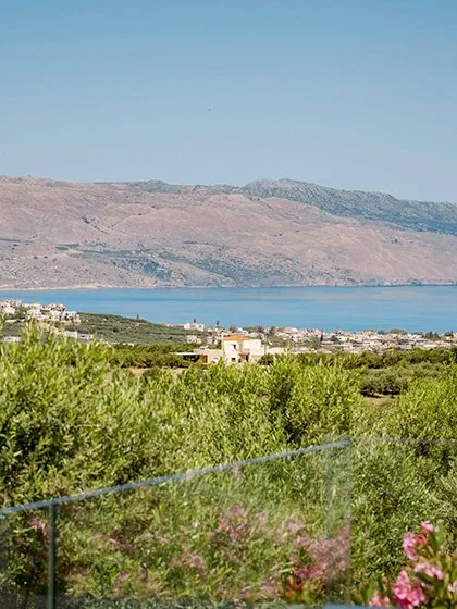 roseofcrete-1-32.jpg