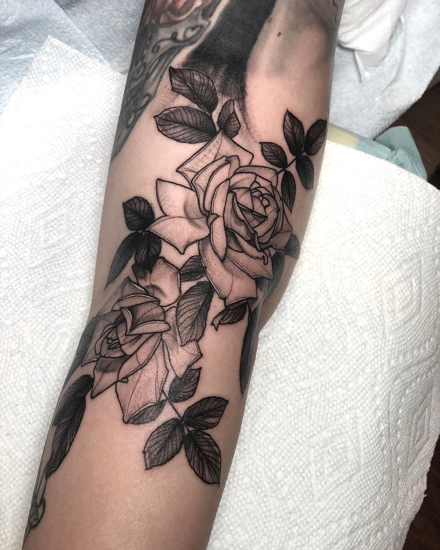 Free: Hand drawn roses and leaves - nohat.cc