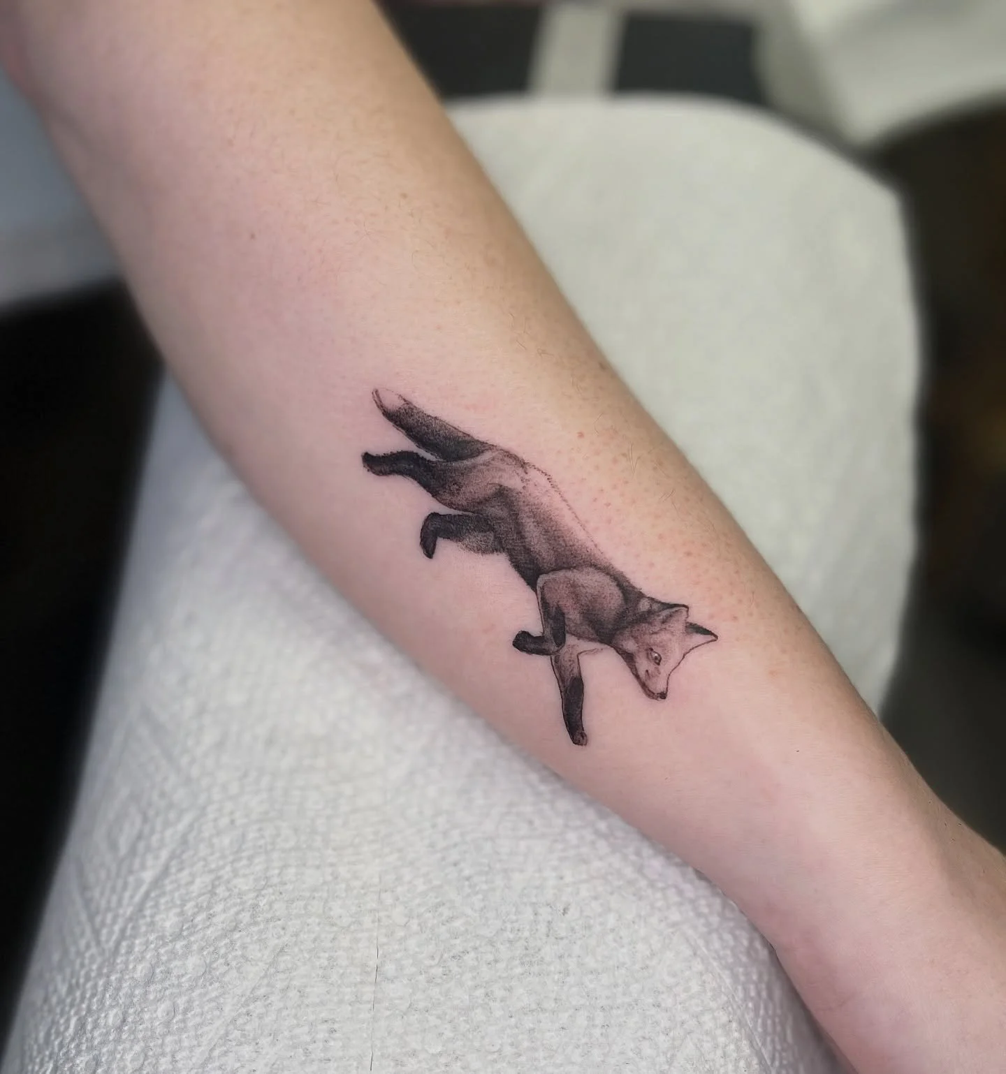 Big or small, bring em all! Really enjoy these small bangers and had a blast with this fox for Kristin. I have a few dates left for Sept still - get em while you can! @glasshouse.fl 
.
.
.
.
#blackandgrey #blackandgreytatto #blackwork#foxtattoo #blac