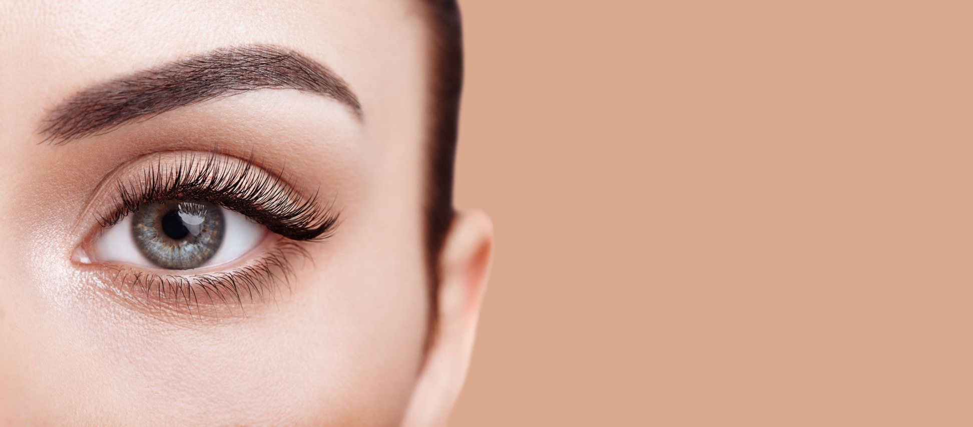 Center of Attention Lash, Brow, & Wax - Boulder