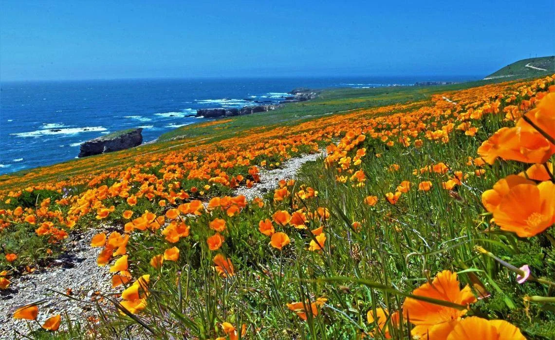 PG&E is charging ratepayers $723 million to keep Diablo Canyon open. Should it?