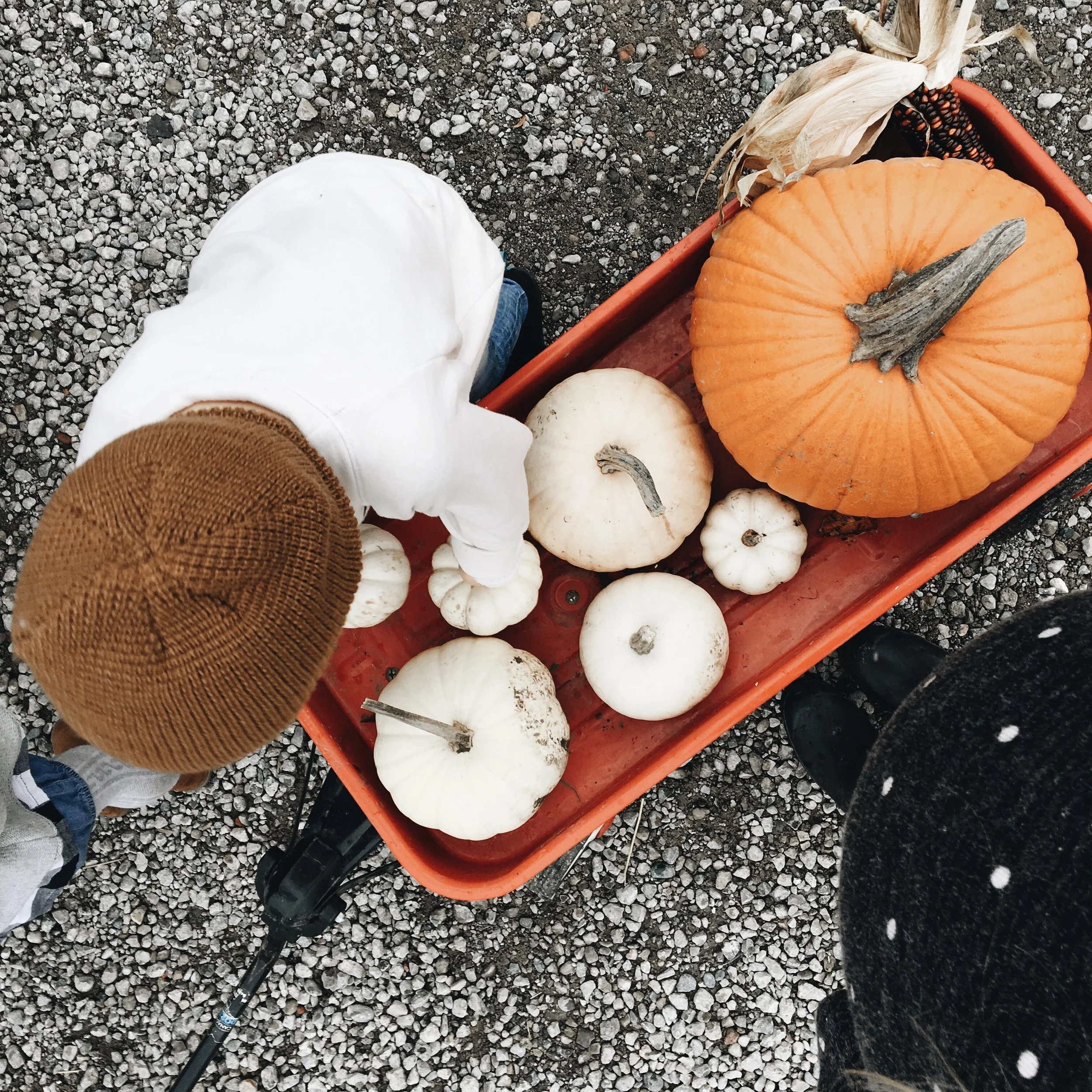 Life Lately + Family Video | Fall 2017