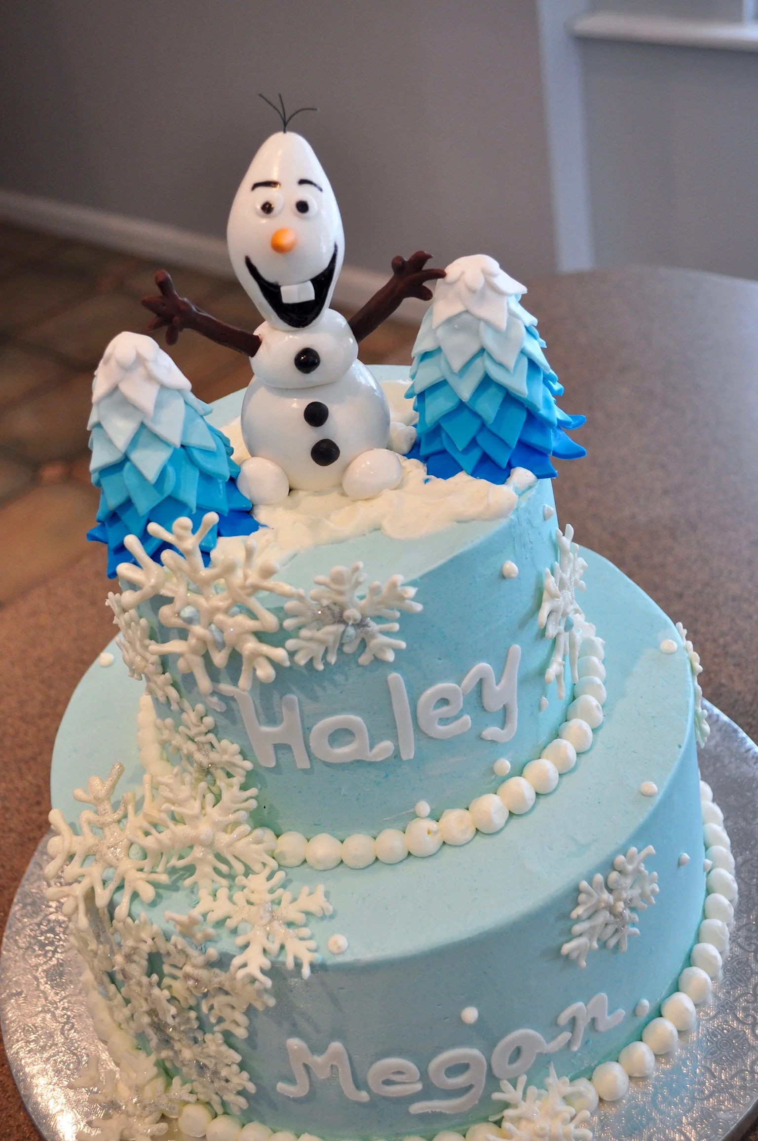 Character Frozen Olaf(2).jpg