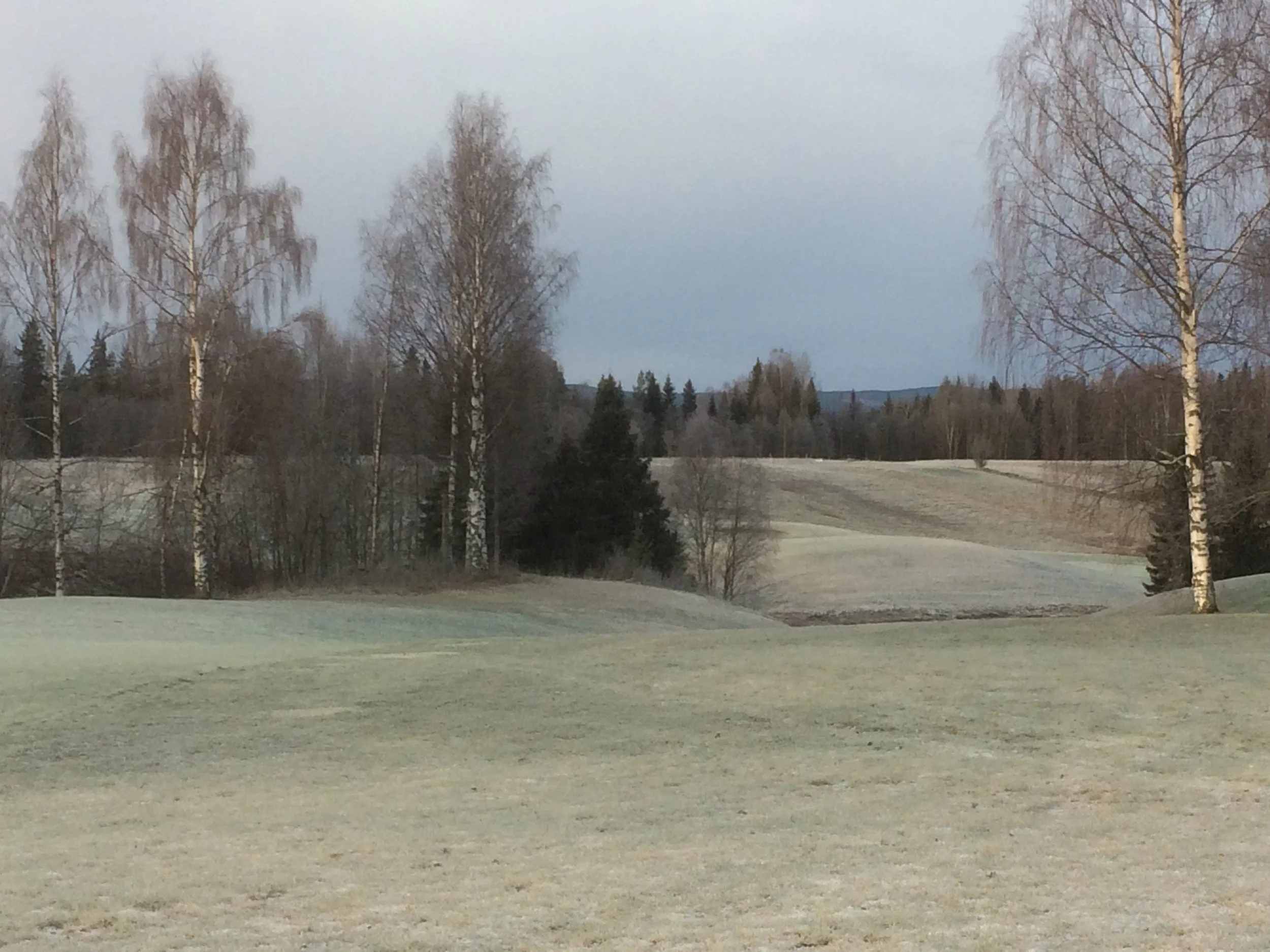 IMG_5937.jpeg