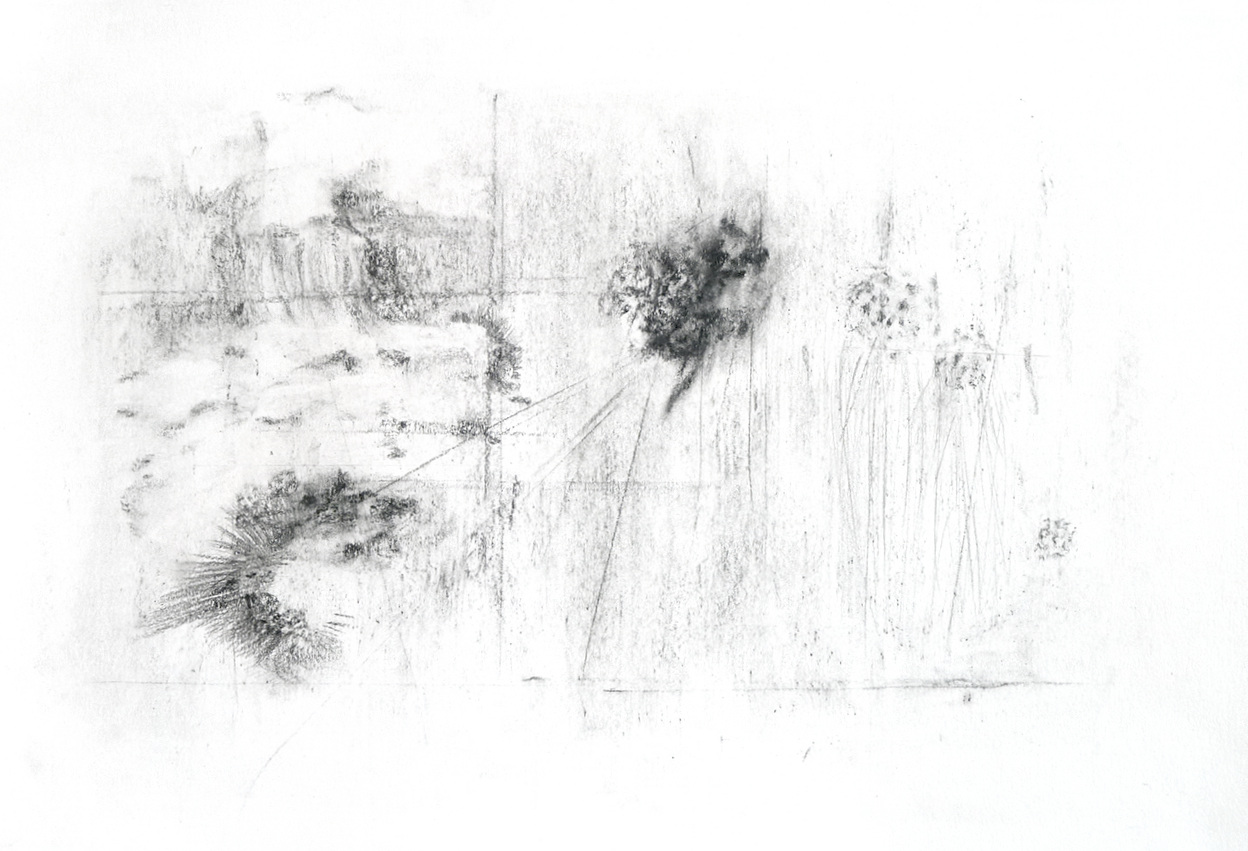   Floating Worlds  series, graphite on paper, 15 x 22 inches 