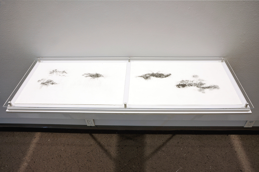  exhibition installation with drawing displayed in vitrines, 2015 