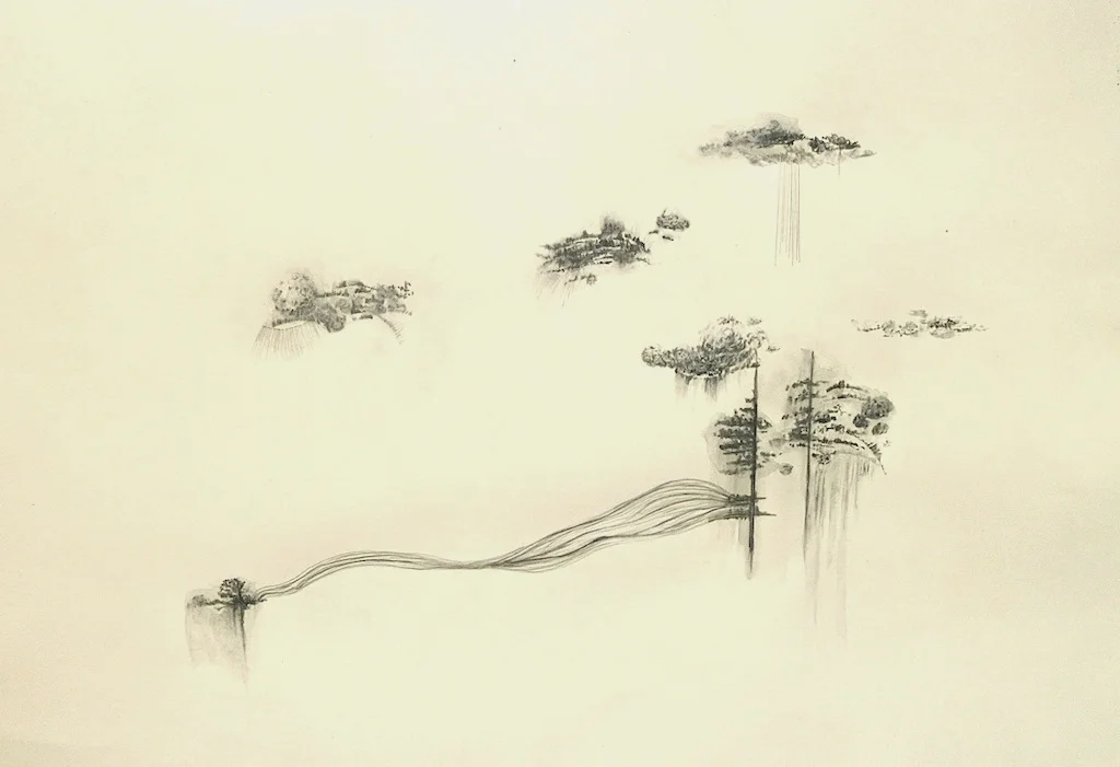   Floating  series, graphite on  colour paper, 22  x 30 inches 