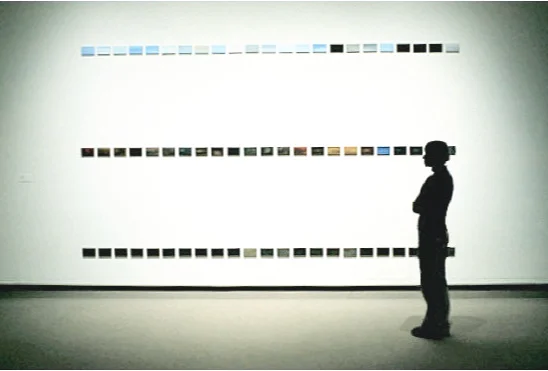  Placement, installation view, oil on wood block, approx 9’ x 13.5ft 