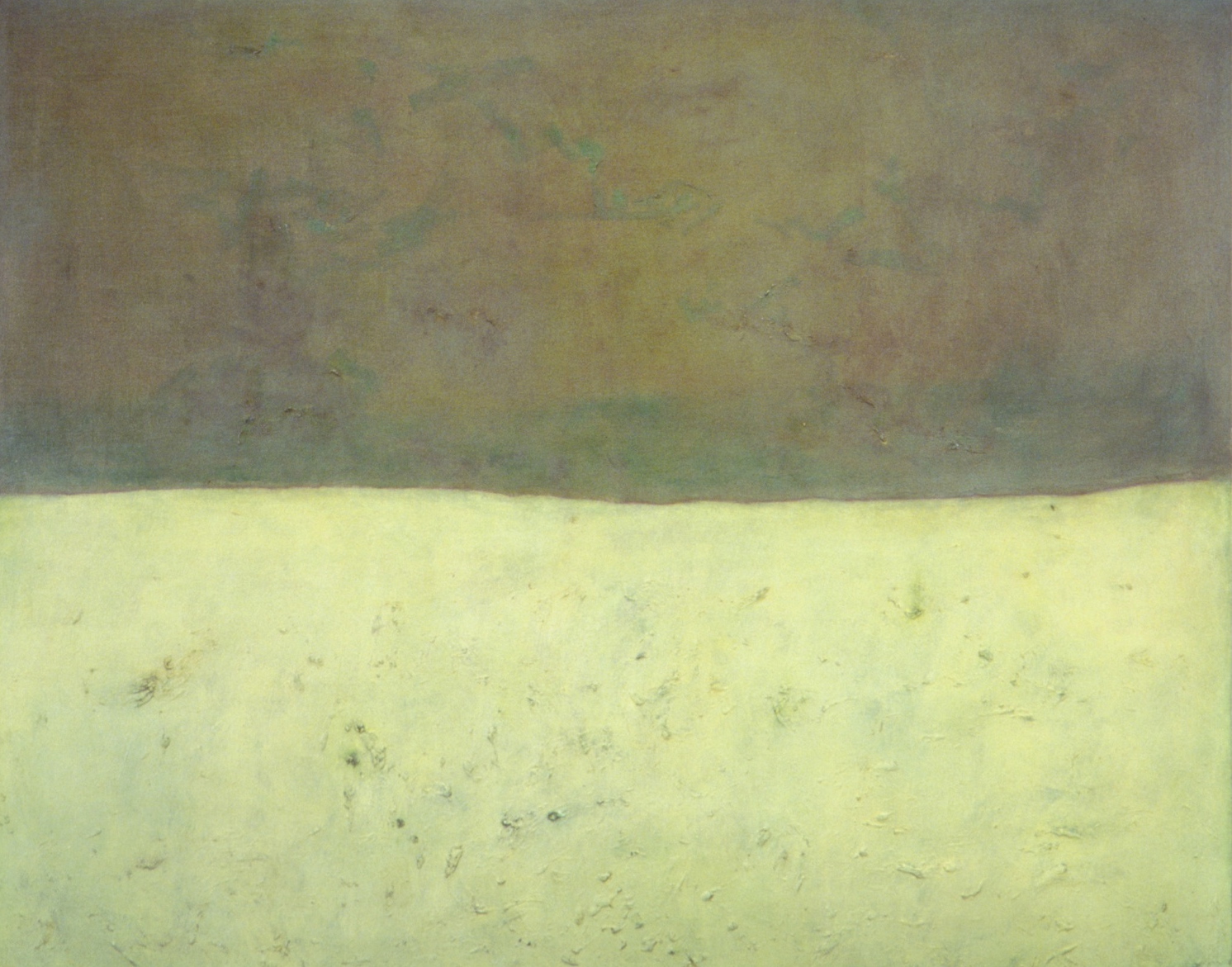  Sonority Plain, oil on canvas, 4, x 5’ /122cm x 152.4cm 