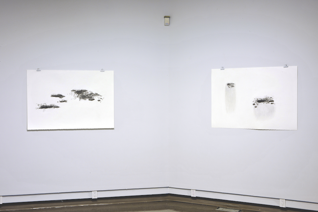  exhibition in installation of Floating worlds drawings drawing 30 x 44 “ each  