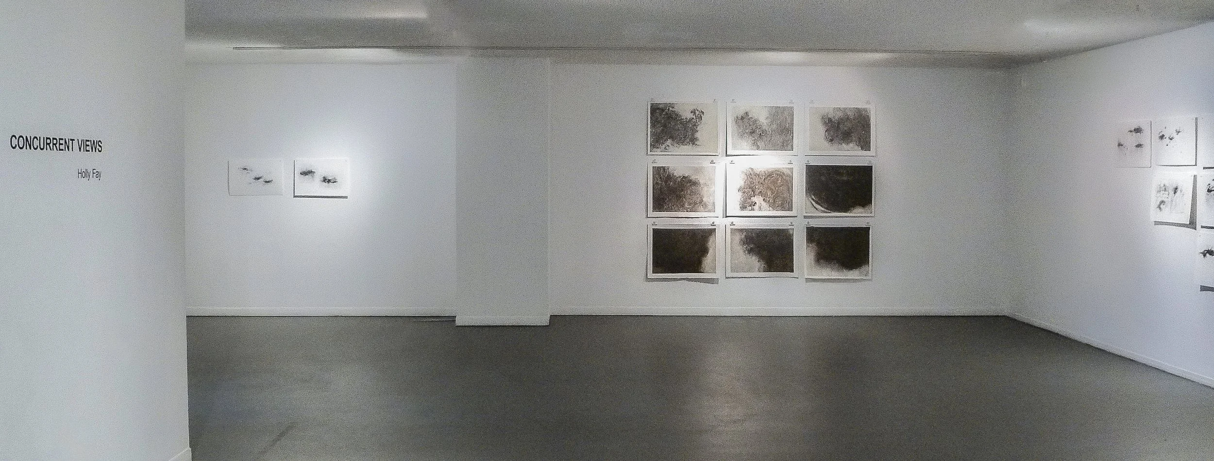 edit concurrent views exhibition .jpg