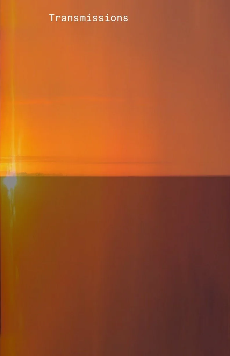 Front Cover of Zine by Mary Mattingly