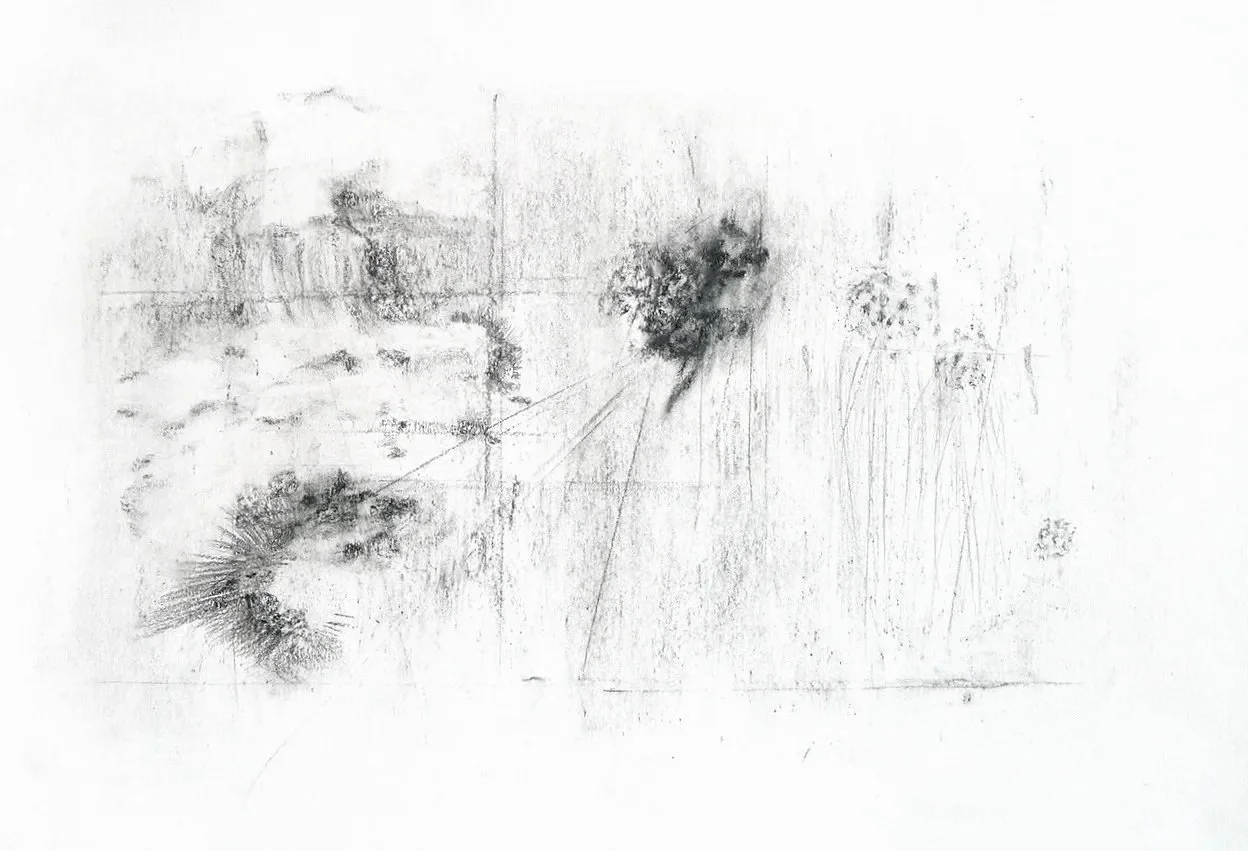   Floating Worlds  series, graphite on paper, 15 x 22 inches 