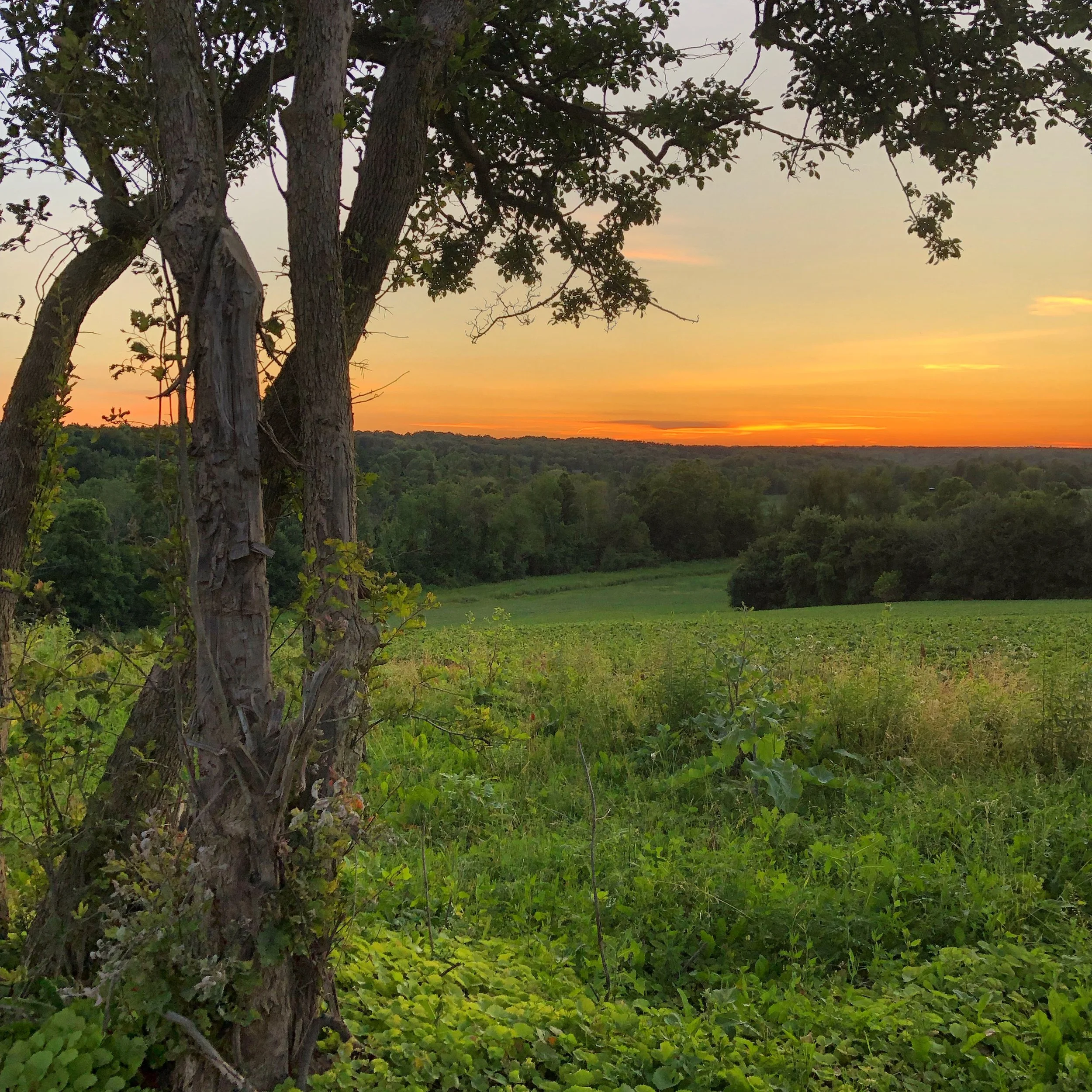 Burlington's Changing: A time to pause, reflect, and plan for the future