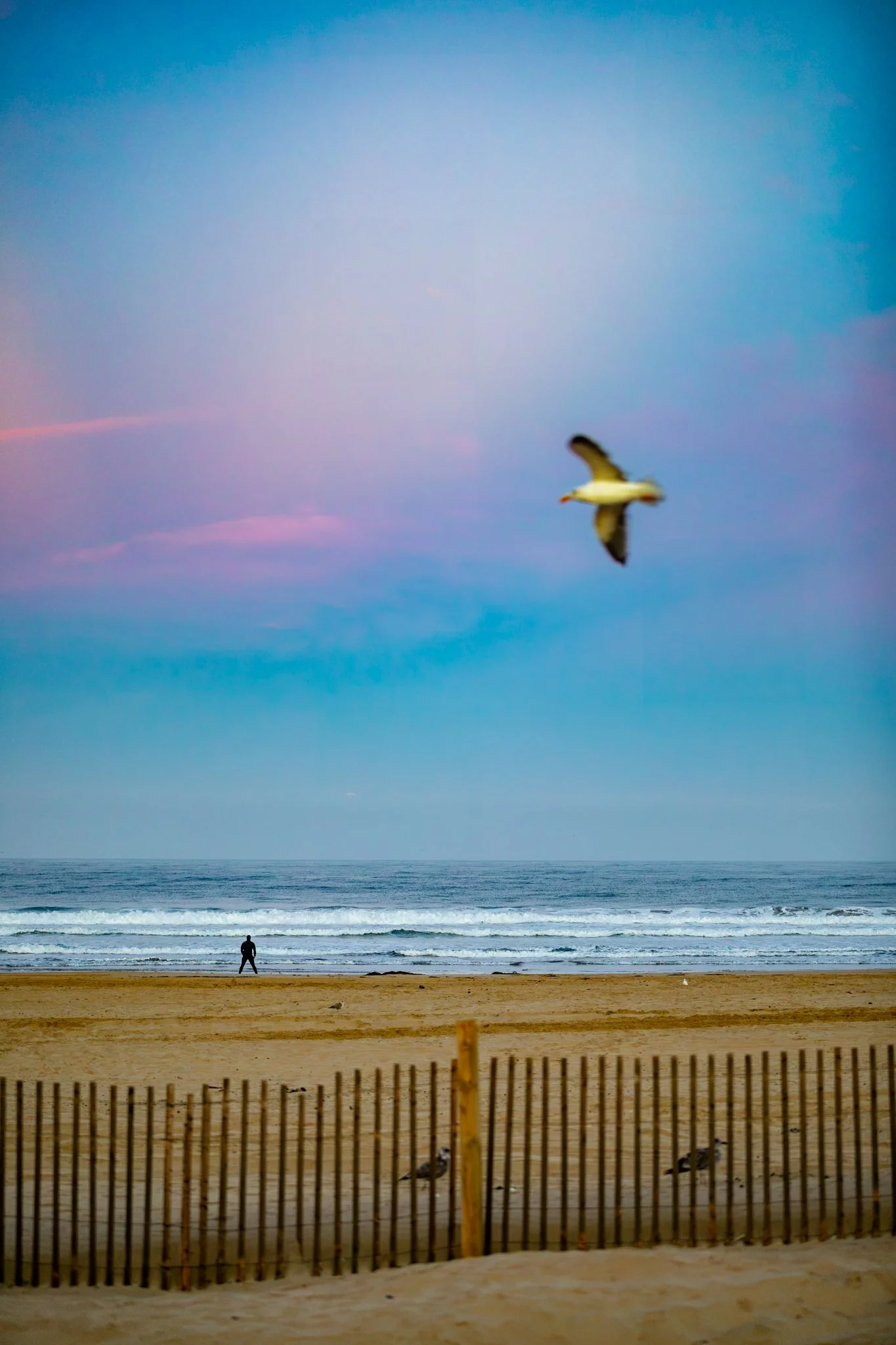 Pismo Beach moon & surfer-5.jpg