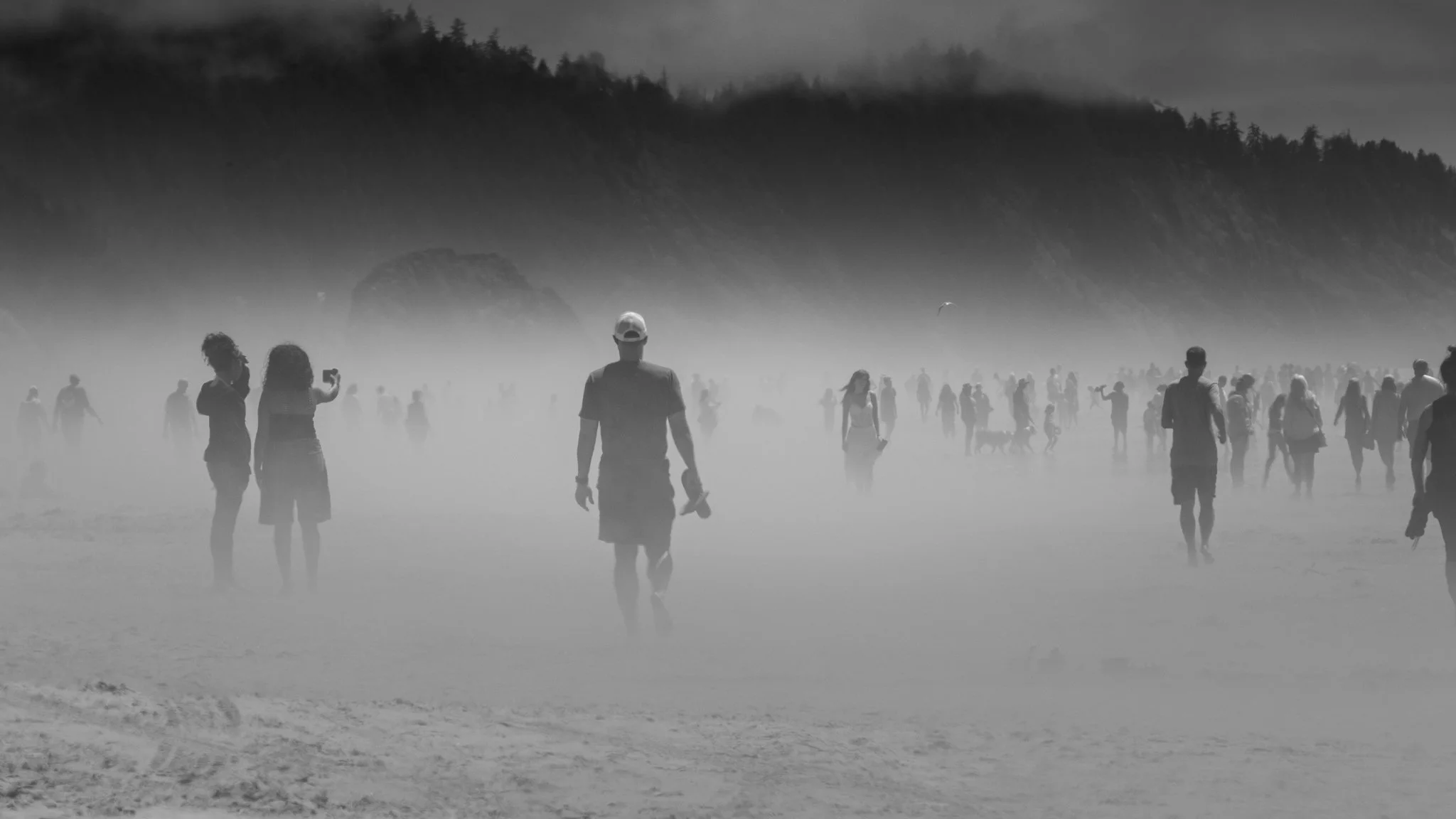 untitled-2-11.jpg