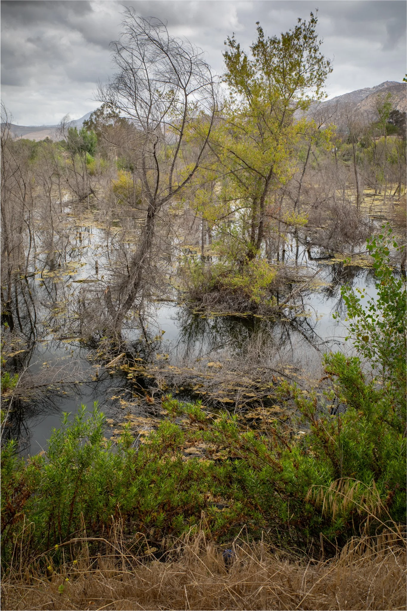untitled-5464-HDR.jpg
