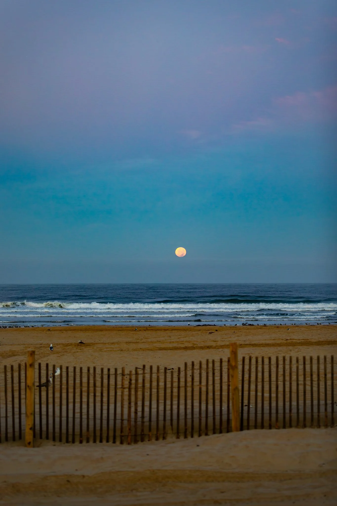 Pismo Beach moon & surfer-2.jpg