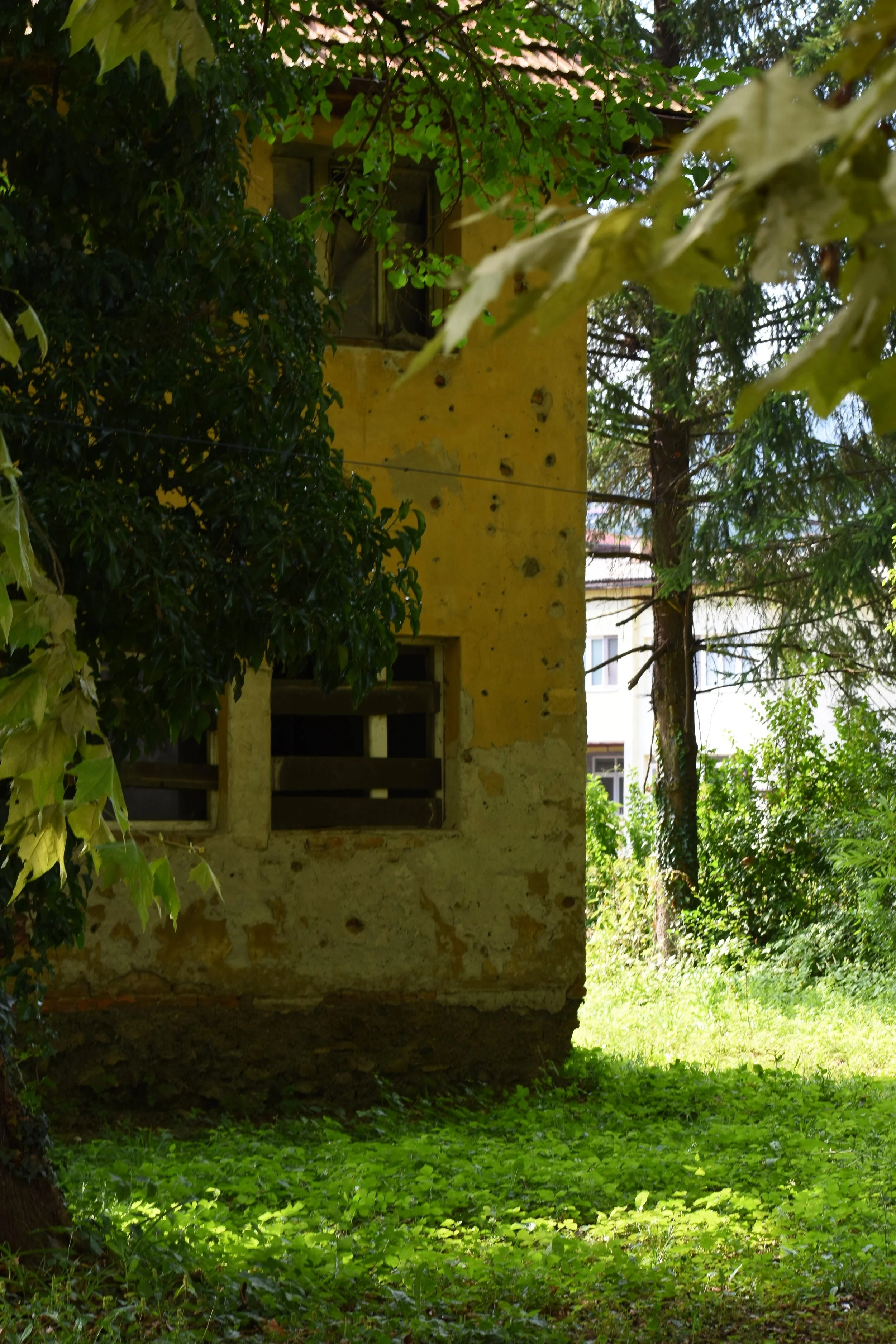DSC_0143.jpg