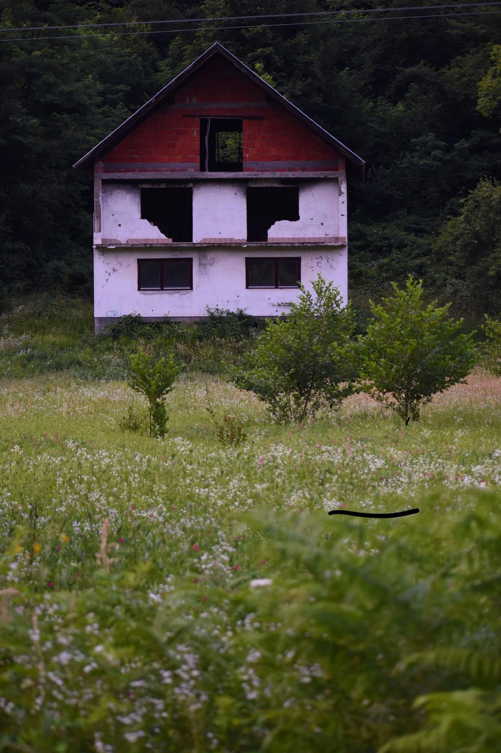 DSC_0333.jpg