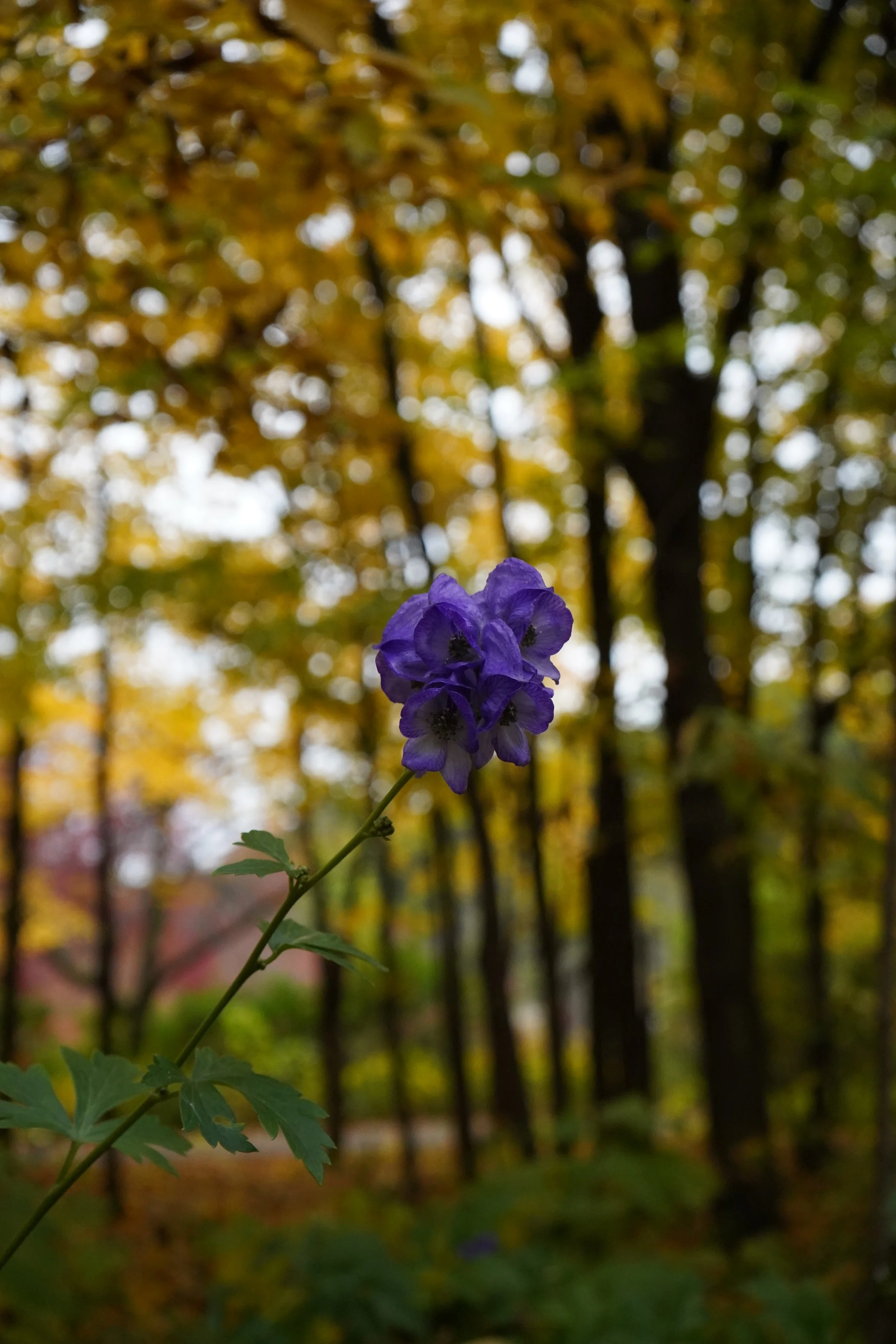 DSC01820.JPG