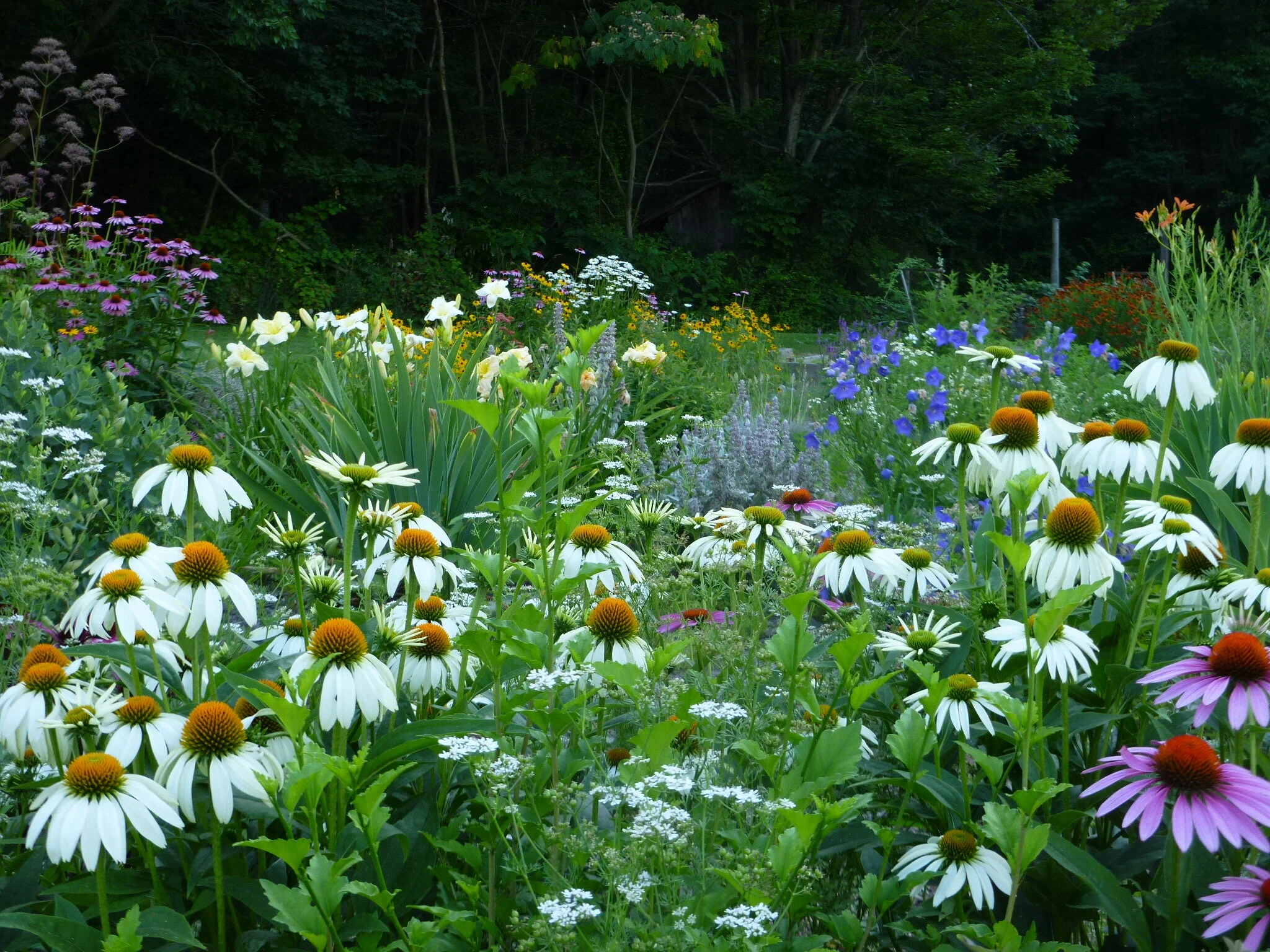 P1000424 (1) (3).jpeg