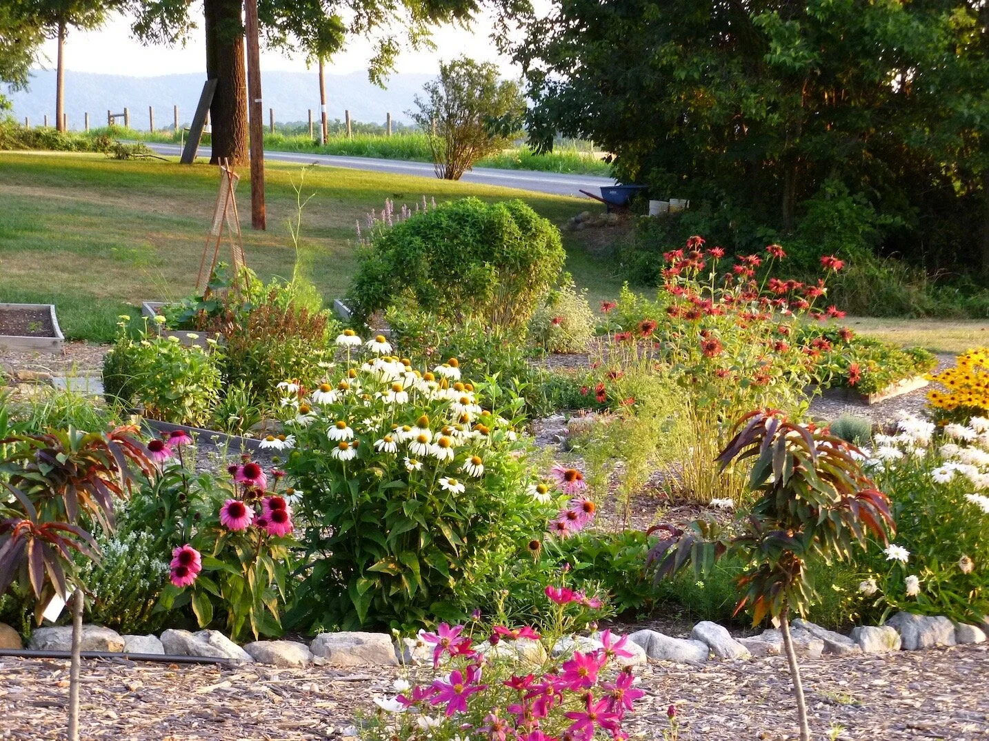 another garden view .jpeg