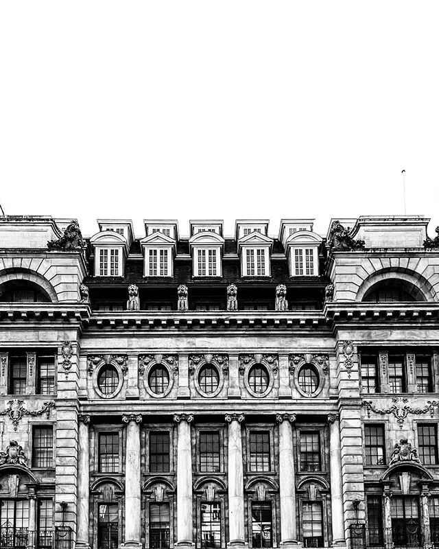 Somewhere in Green Park, London. December 2019. Before the world went sideways. Shot on my iPhone