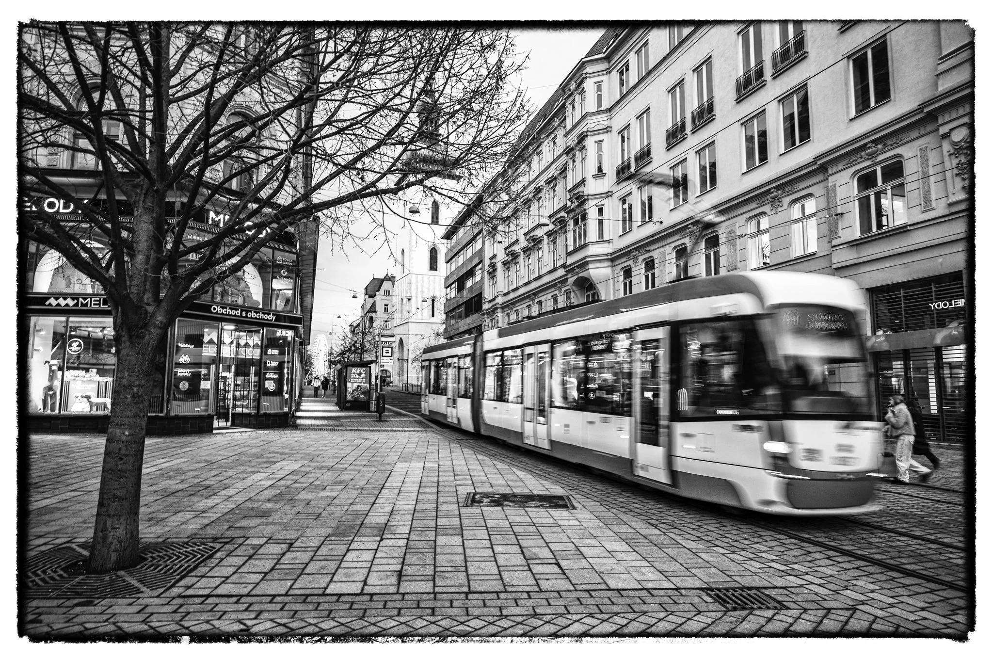 2026-01-17January 17, 2026-19.jpg