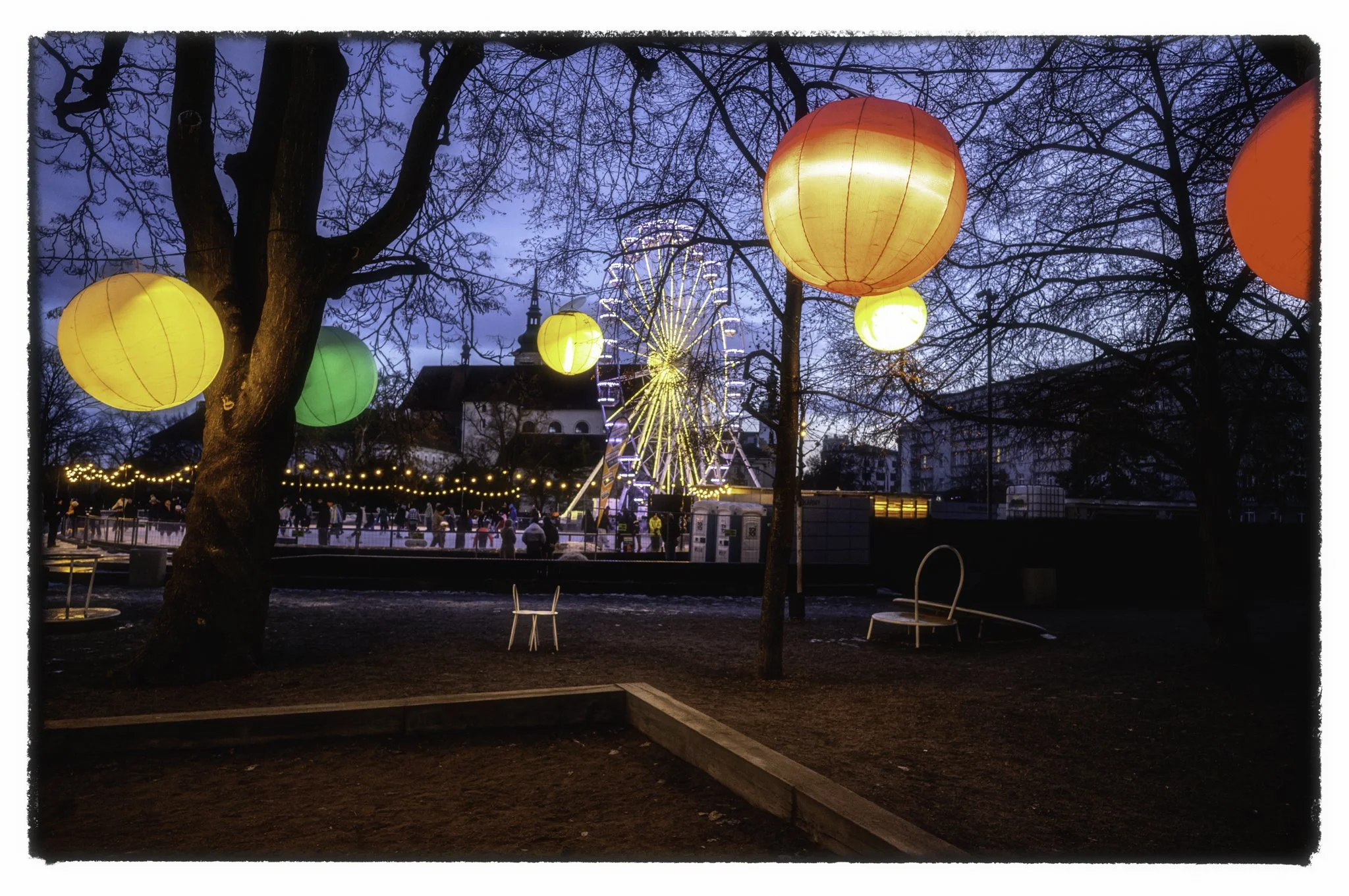 2026-01-17January 17, 2026-29.jpg