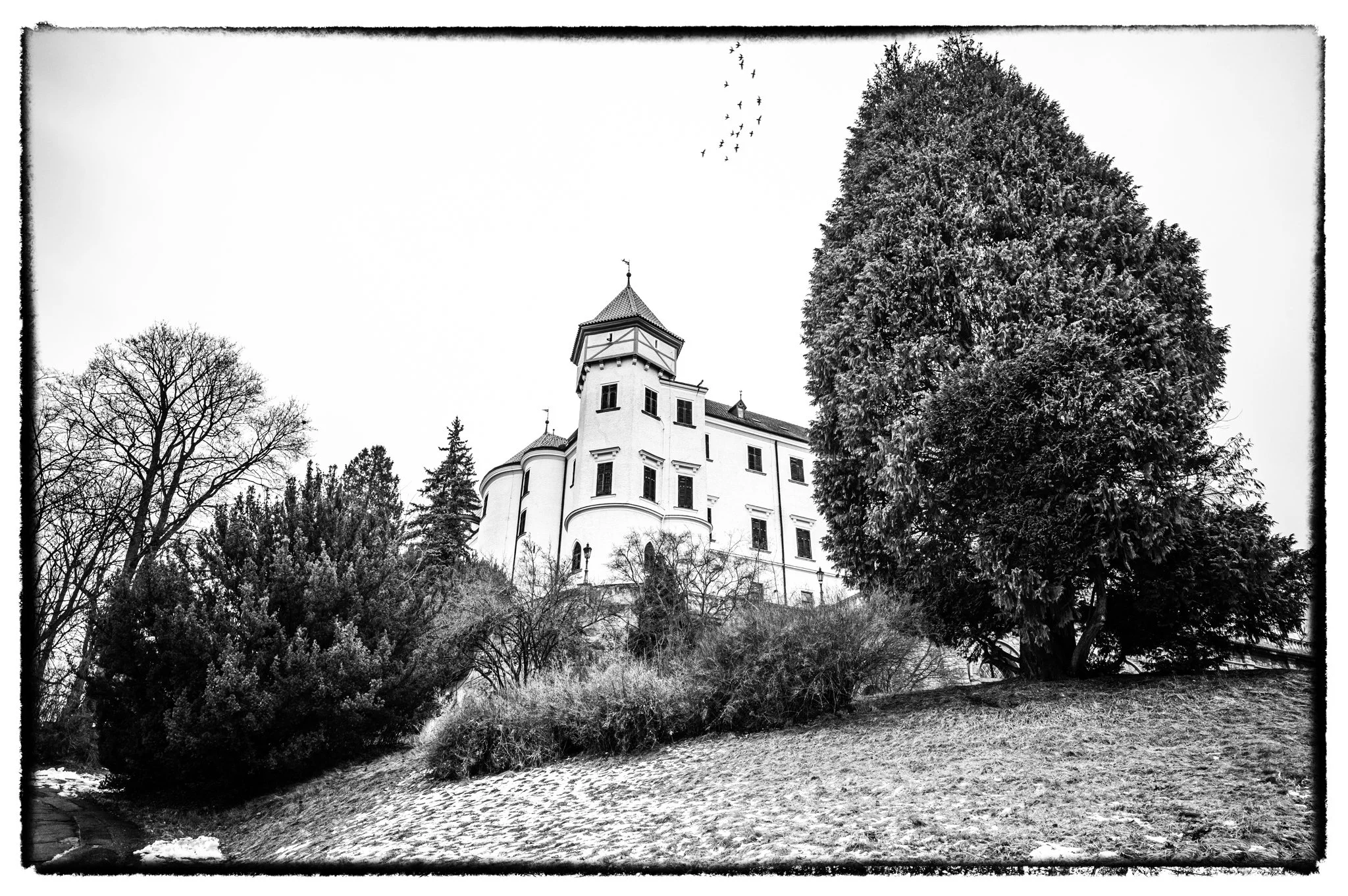 2026-01-17January 17, 2026-11.jpg