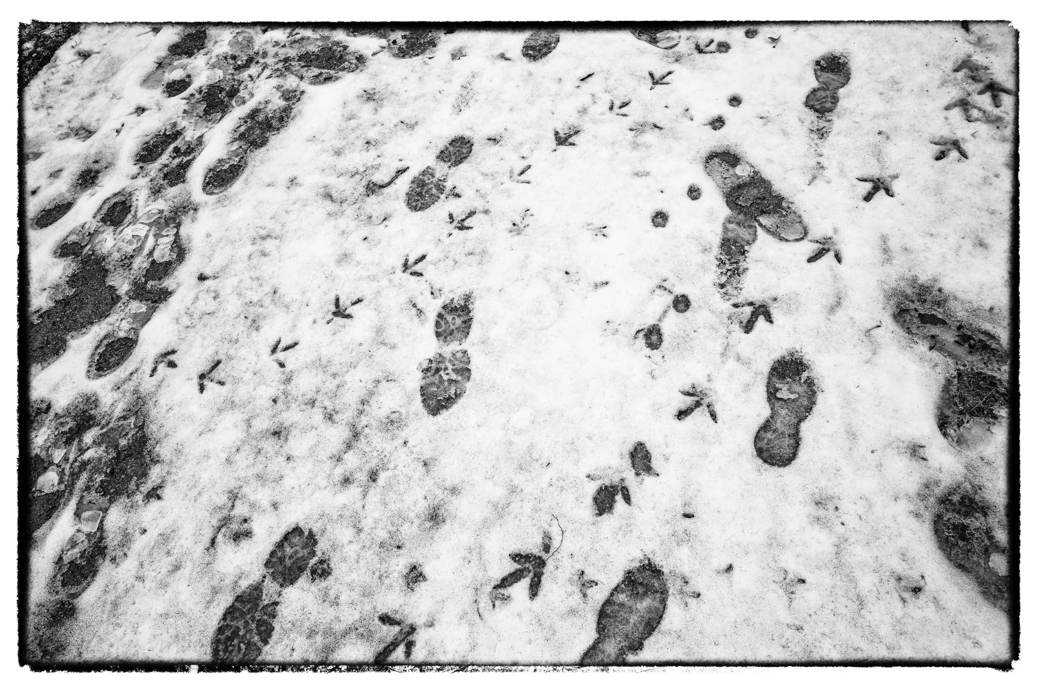 2026-01-17January 17, 2026-12.jpg