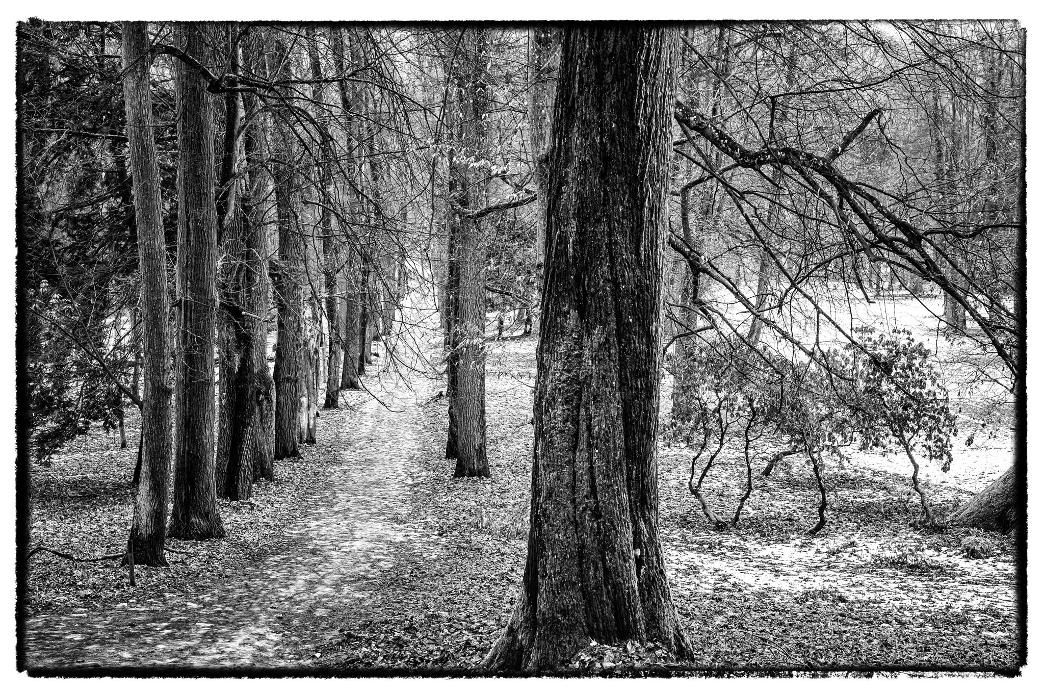 2026-01-17January 17, 2026-16.jpg