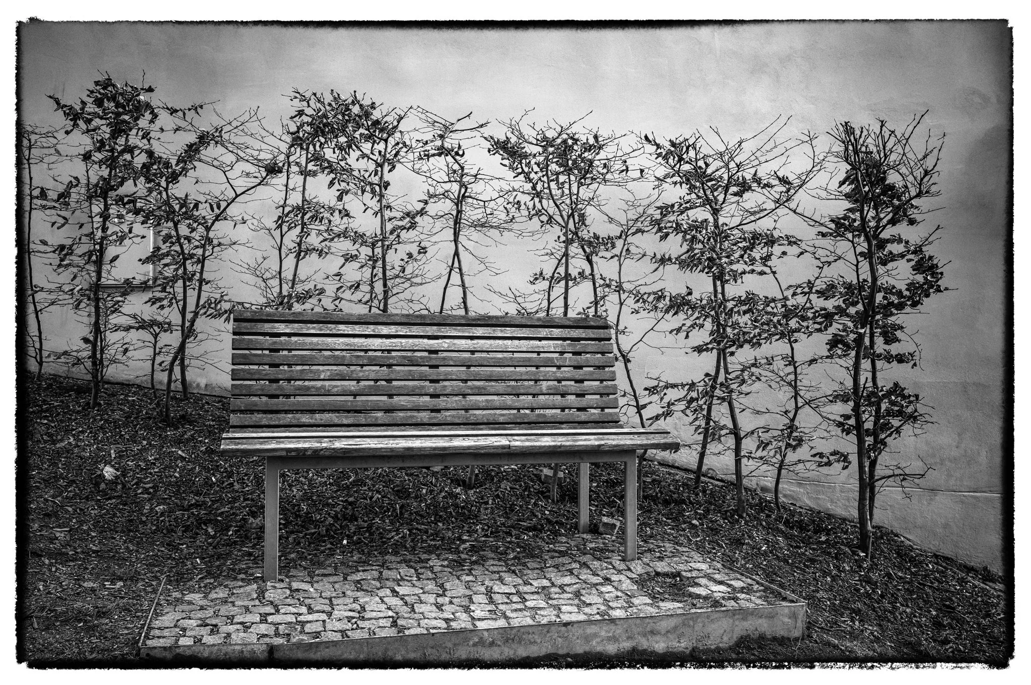 2026-01-18January 18, 2026-5.jpg