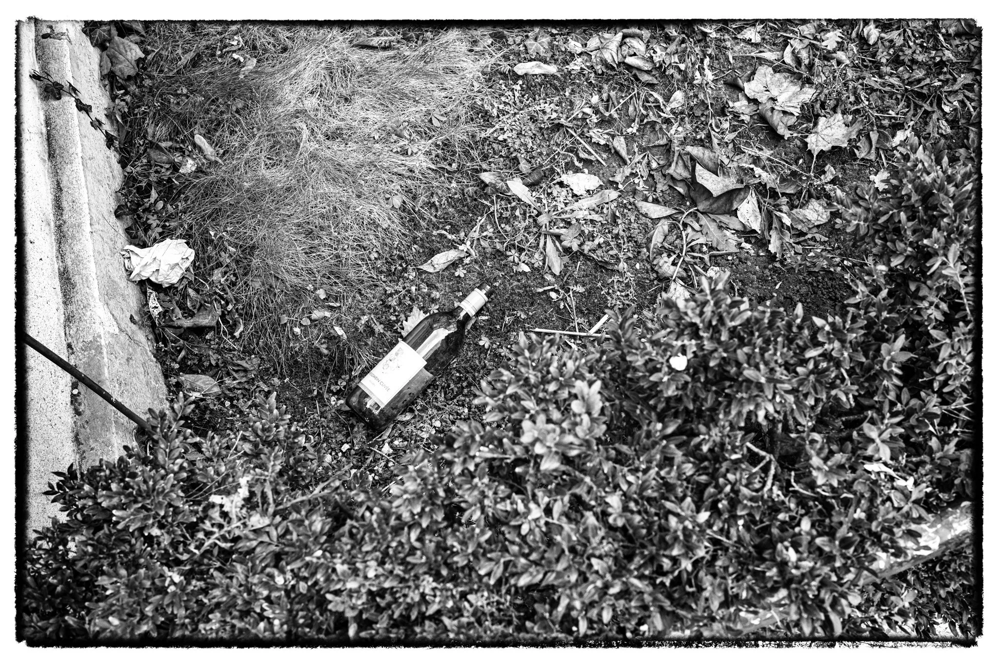 2026-01-19January 19, 2026-3.jpg