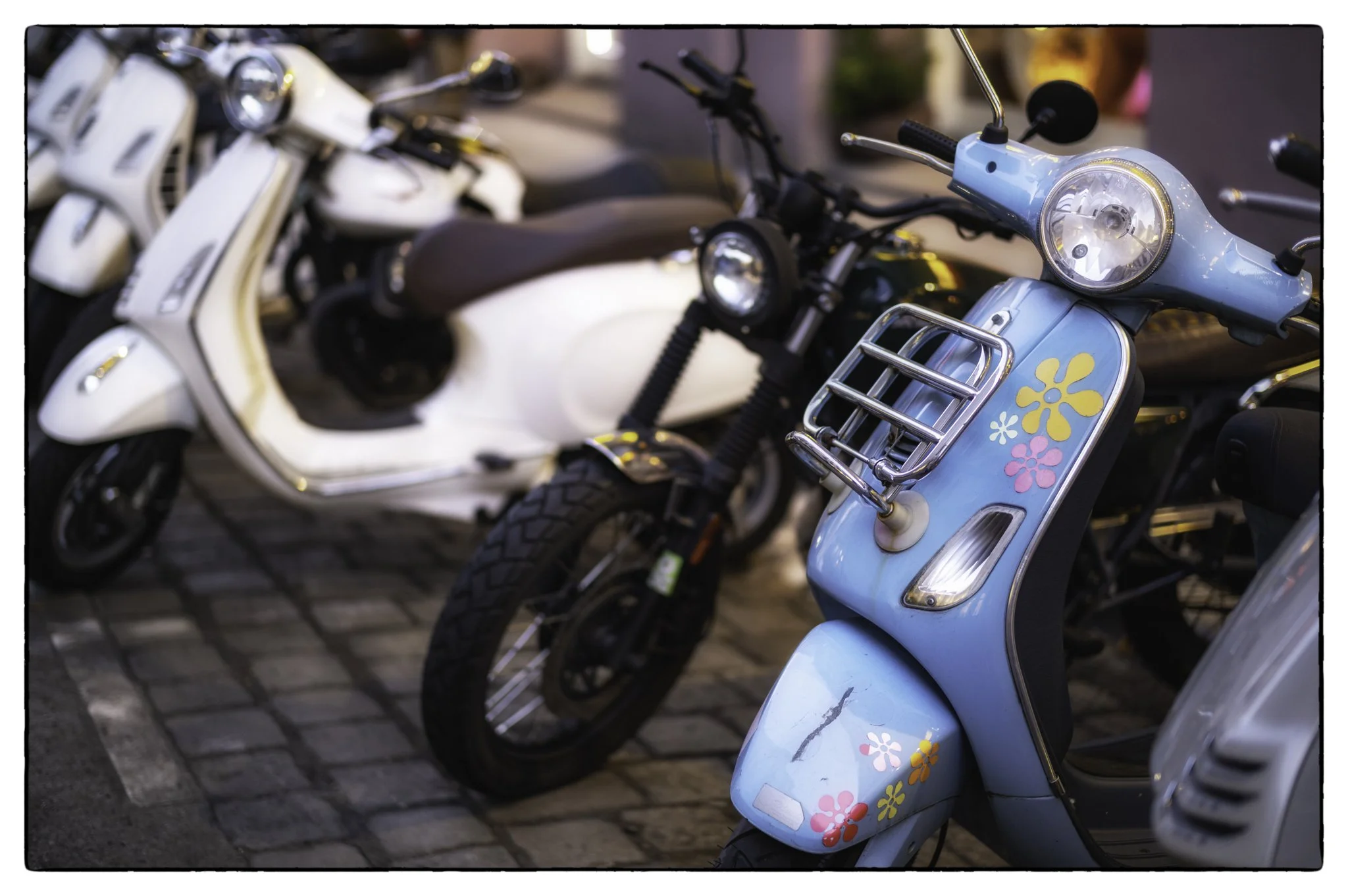 2026-01-20January 20, 2026-7.jpg