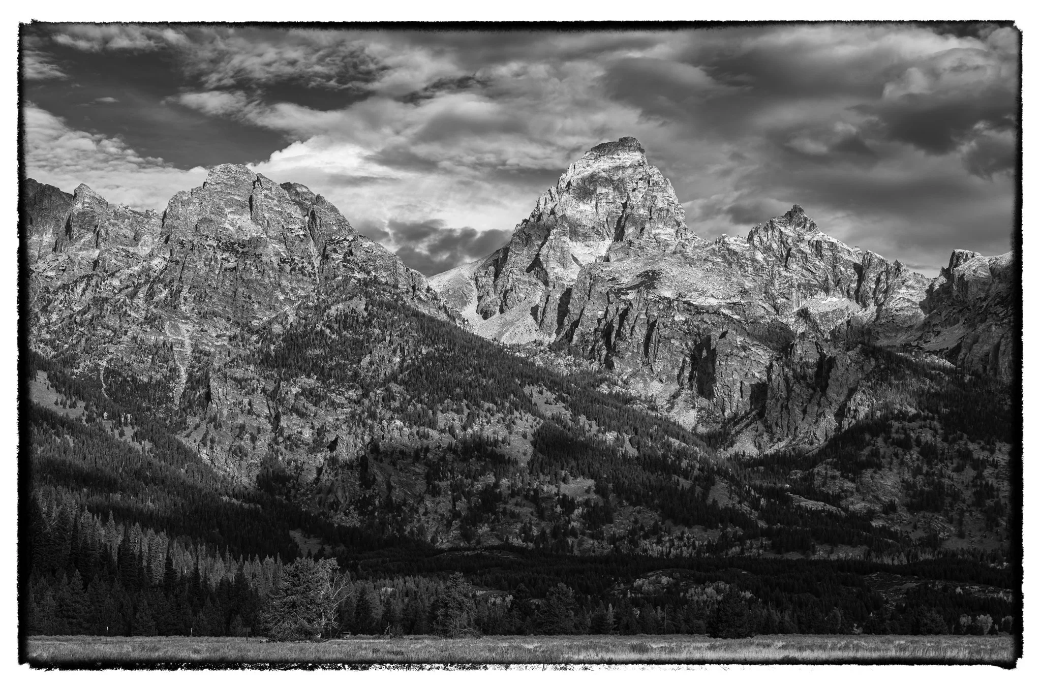 L1004971-EditSeptember 28, 2025.jpg